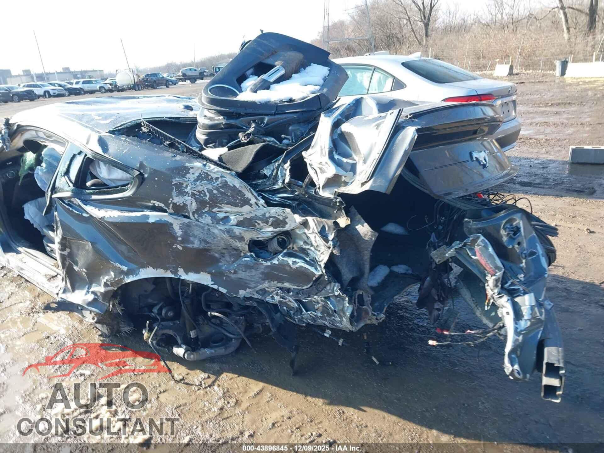 FORD MUSTANG 2020 - 1FA6P8TH7L5120817