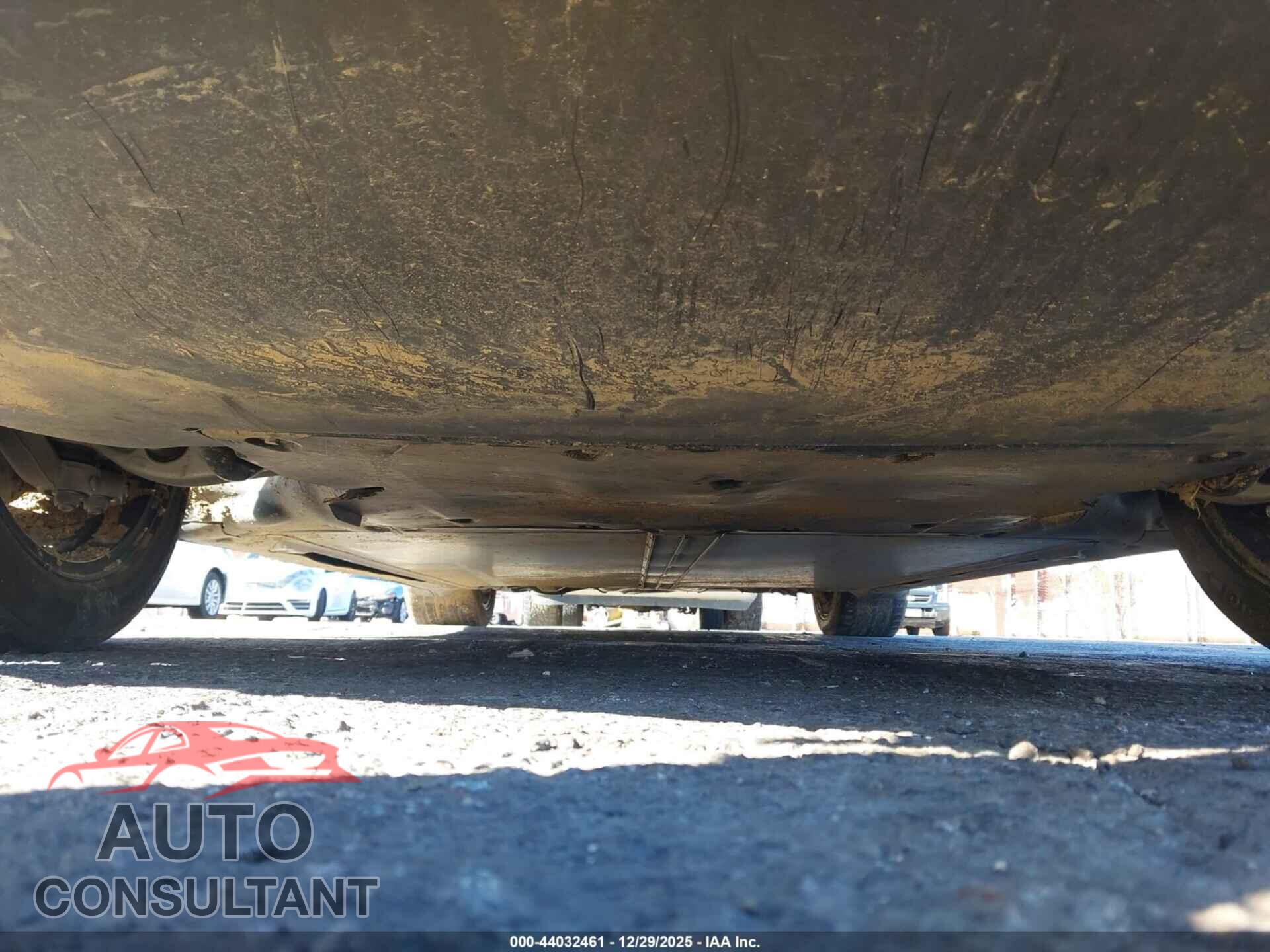 TESLA MODEL Y 2024 - 7SAYGDED2RF116545