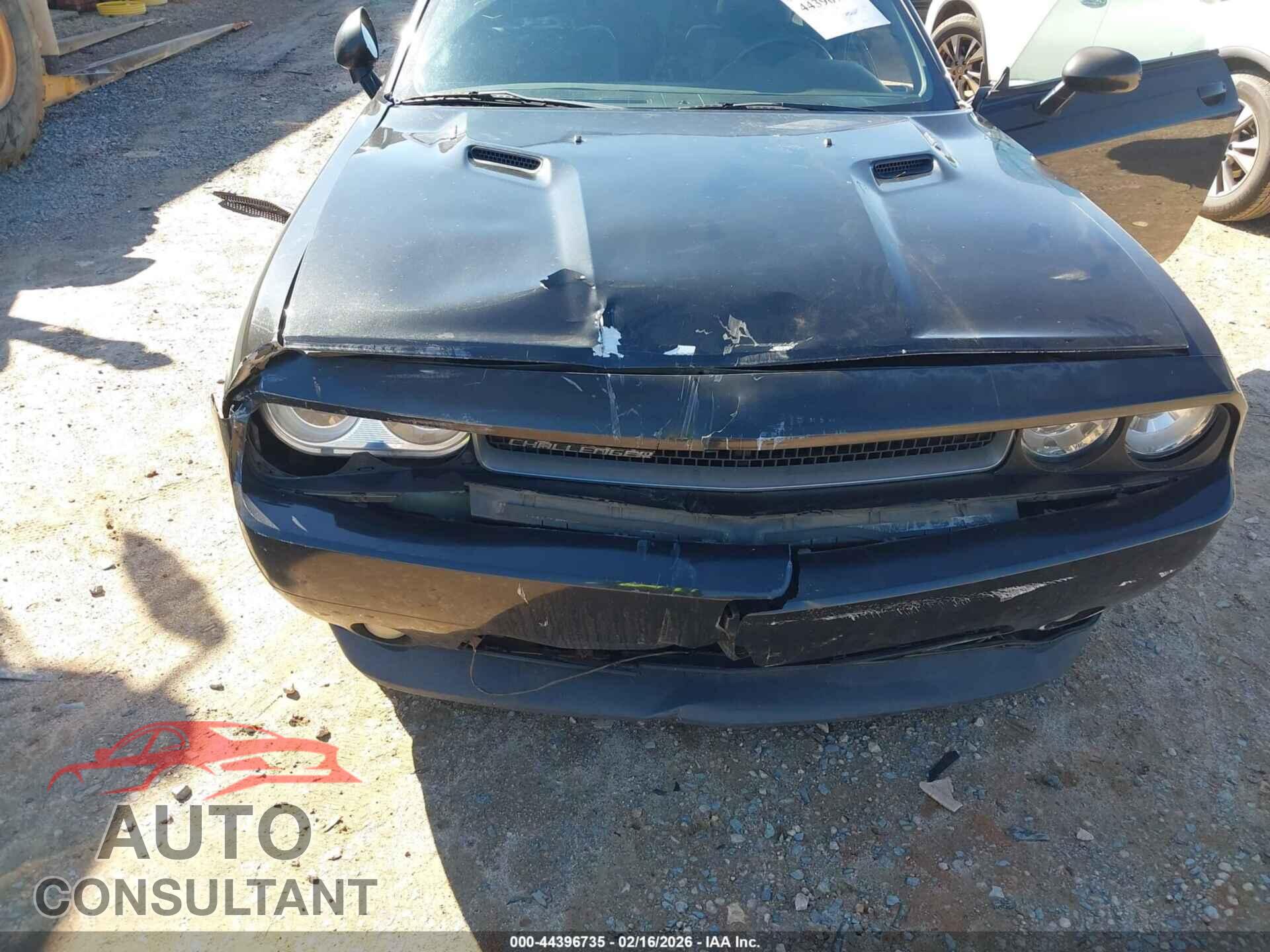 DODGE CHALLENGER 2013 - 2C3CDYBT6DH695209