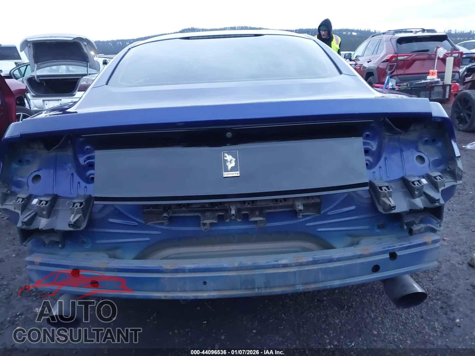 FORD MUSTANG 2016 - 1FA6P8CFXG5284471