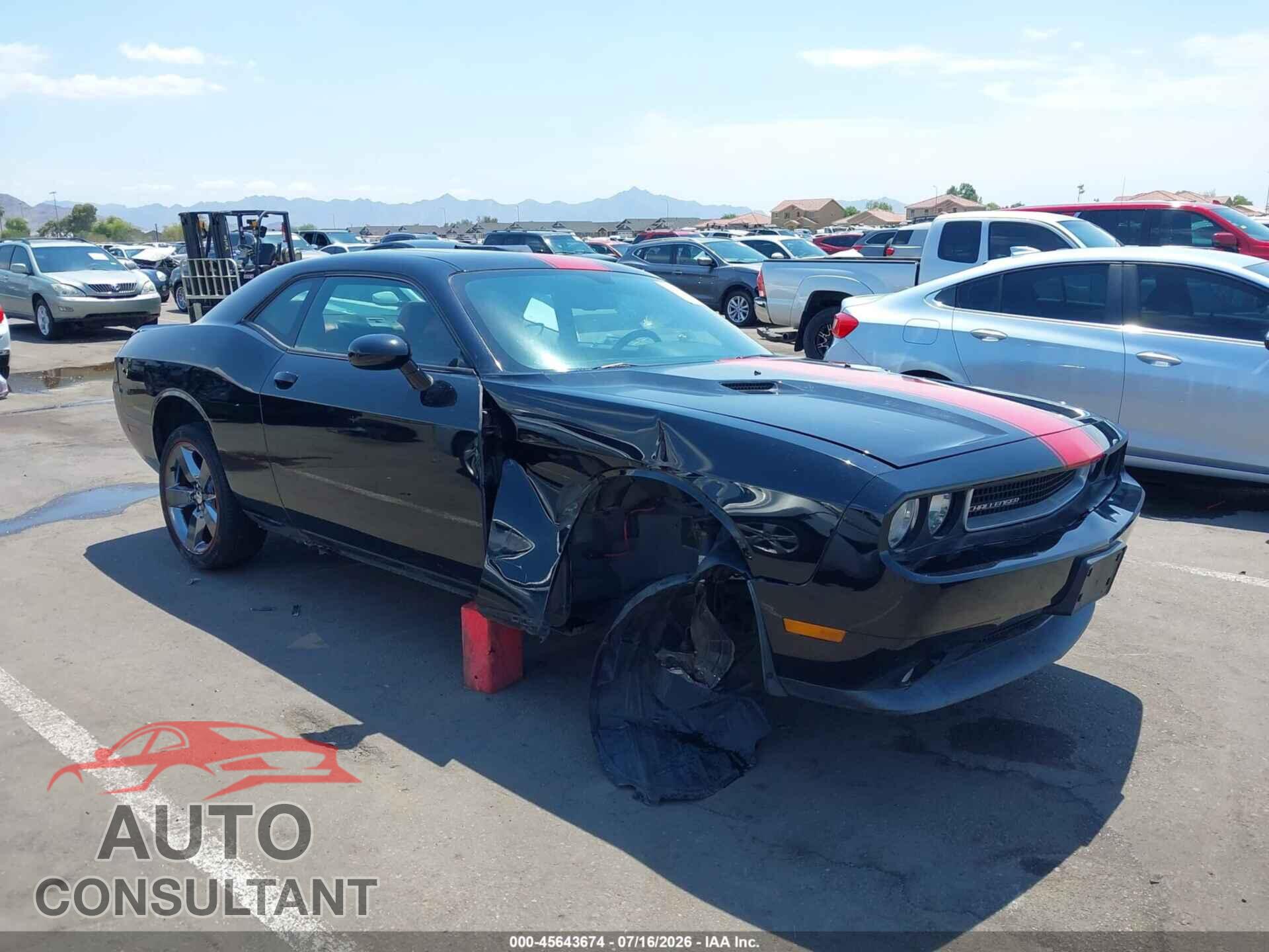 DODGE CHALLENGER 2013 - 2C3CDYAG7DH524666