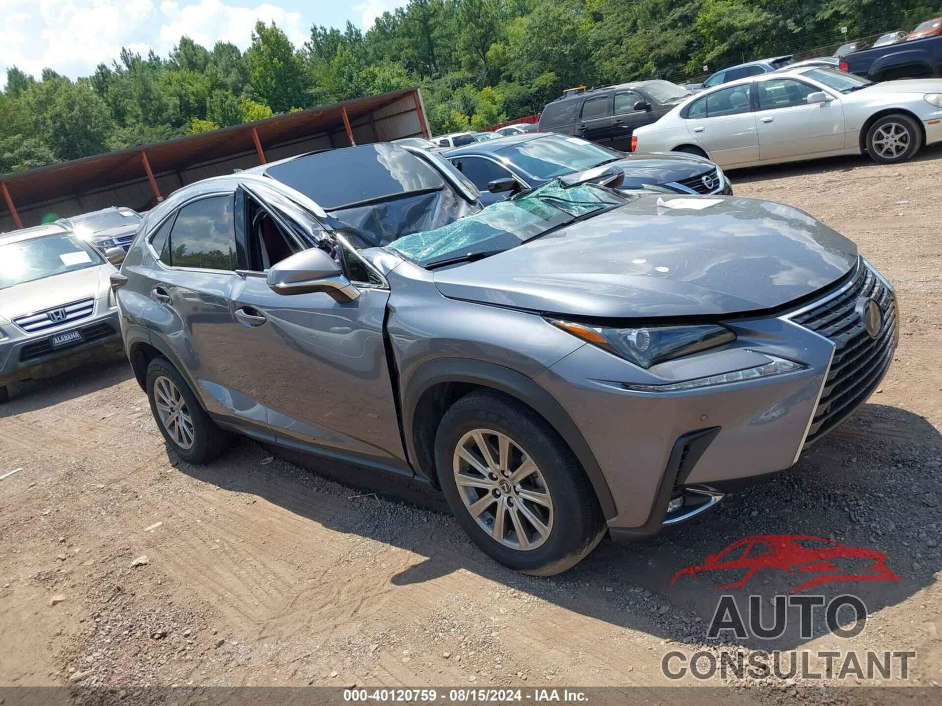 LEXUS NX 300 2020 - JTJDARBZ4L2174139