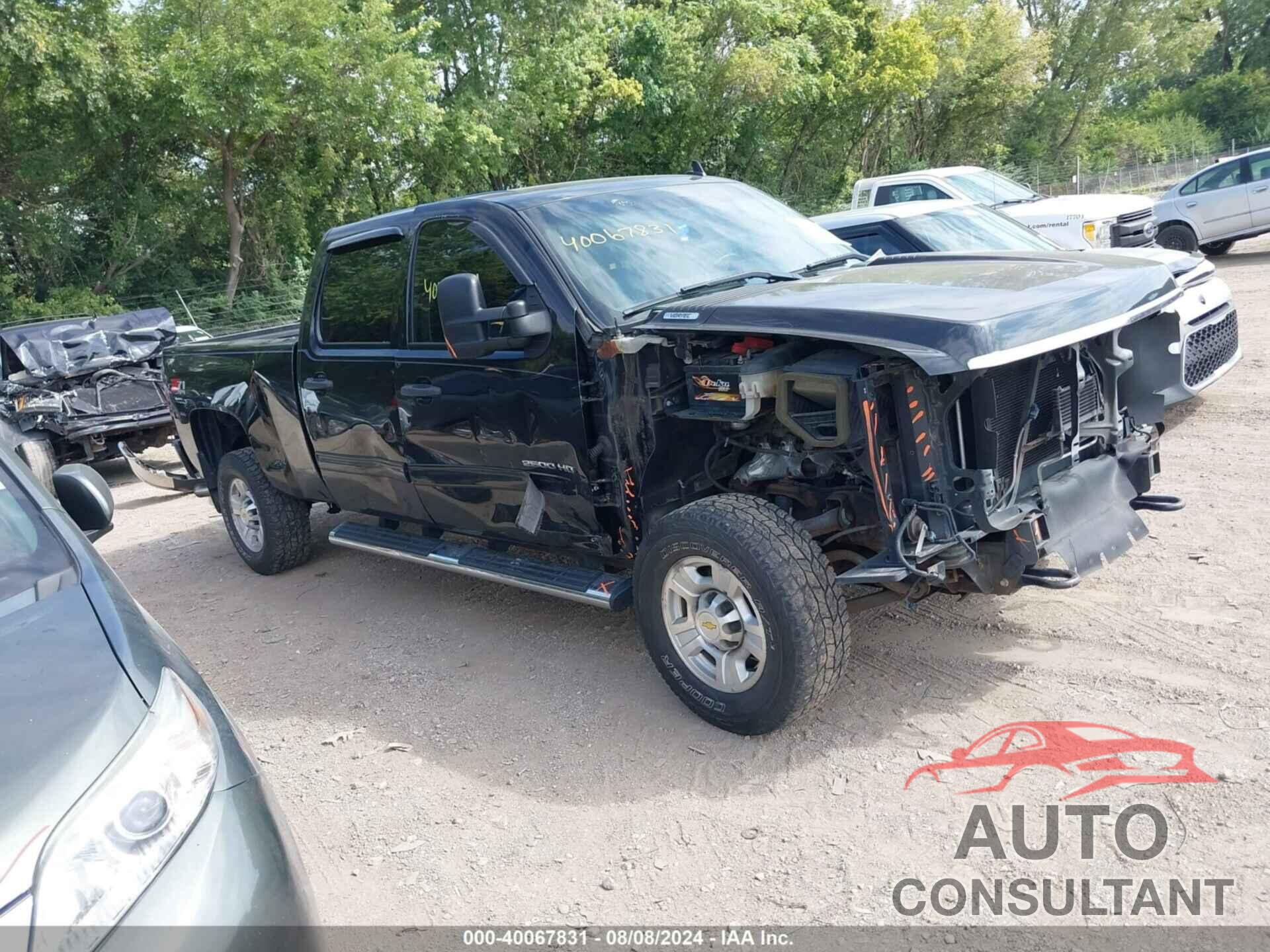 CHEVROLET SILVERADO 2010 - 1GC4KXBG1AF154732
