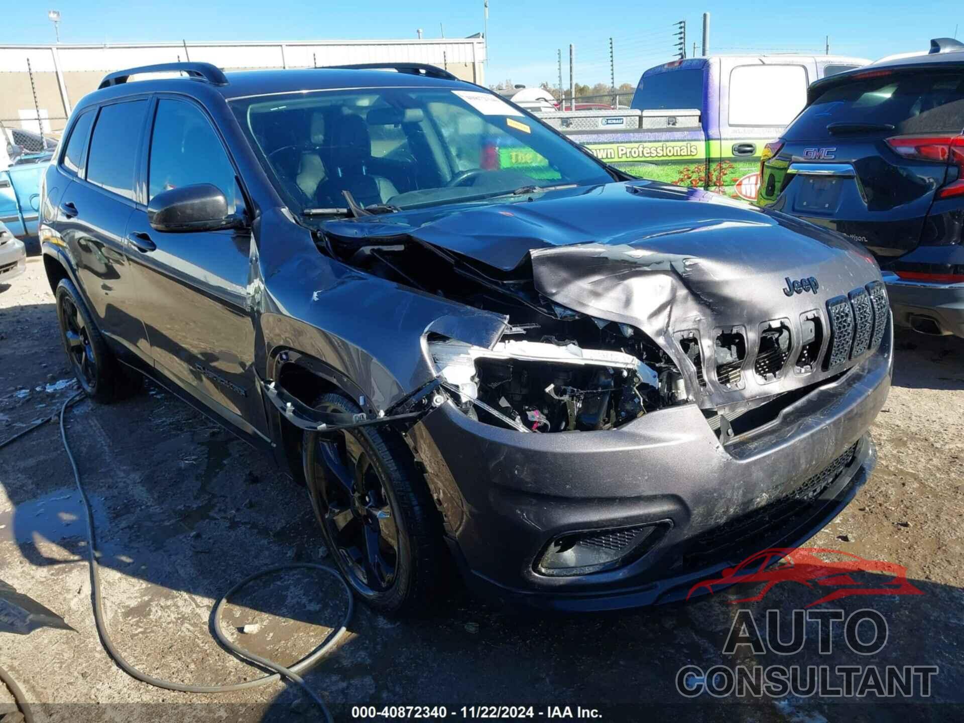 JEEP CHEROKEE 2019 - 1C4PJLLB0KD466050