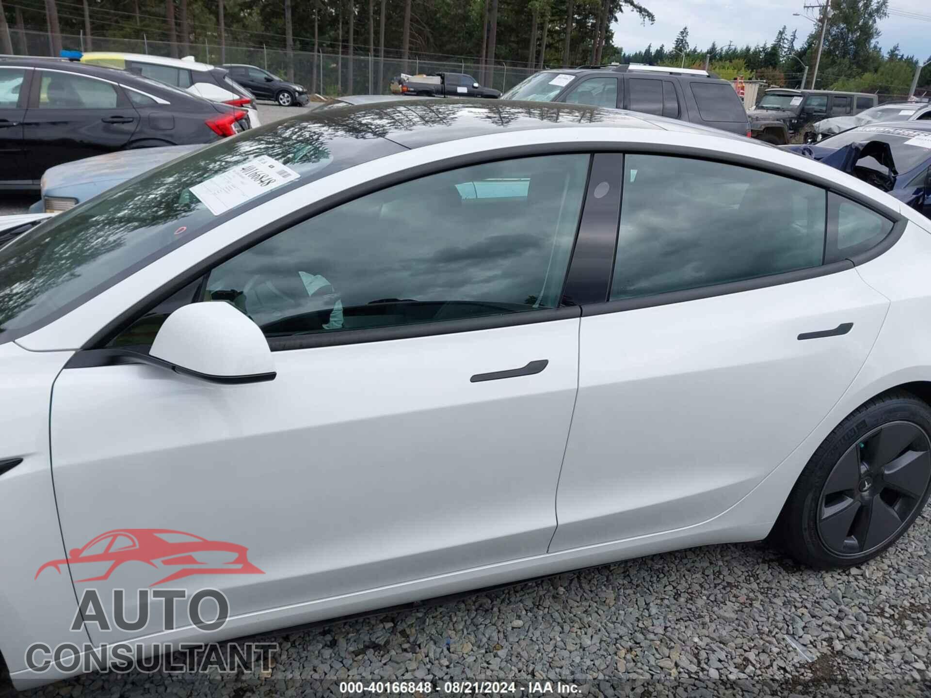 TESLA MODEL 3 2021 - 5YJ3E1EA0MF929831