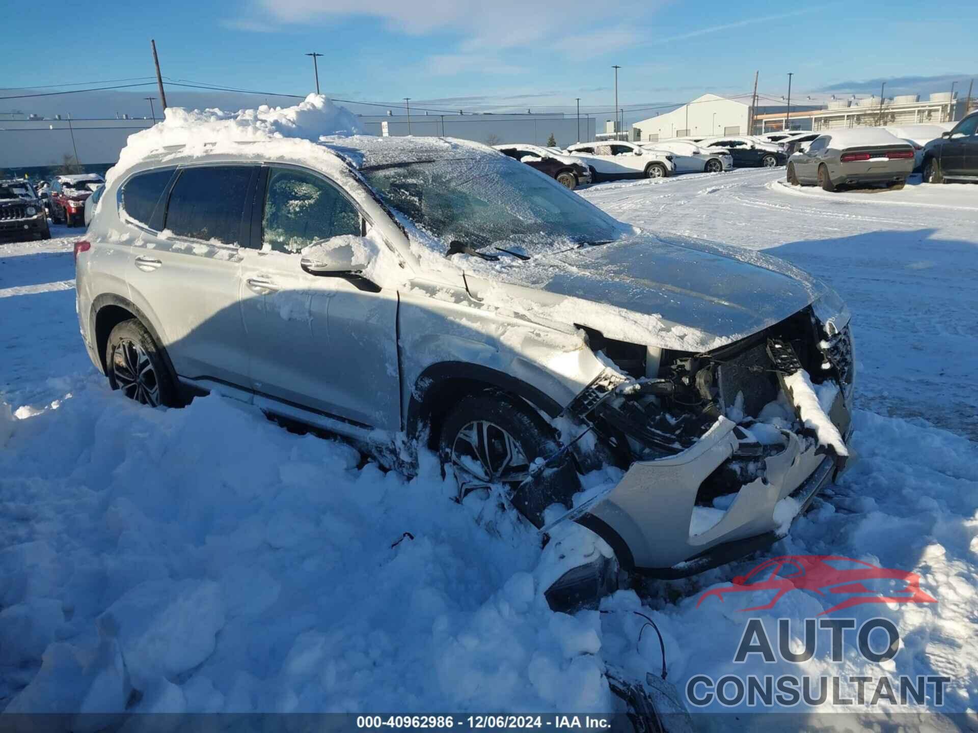 HYUNDAI SANTA FE 2019 - 5NMS5CAAXKH021265