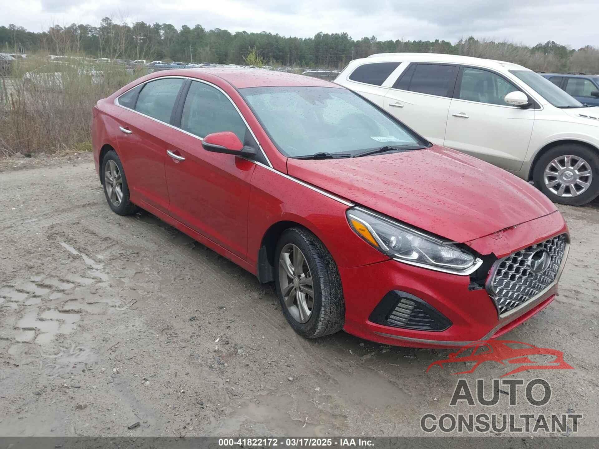 HYUNDAI SONATA 2019 - 5NPE34AF3KH798085