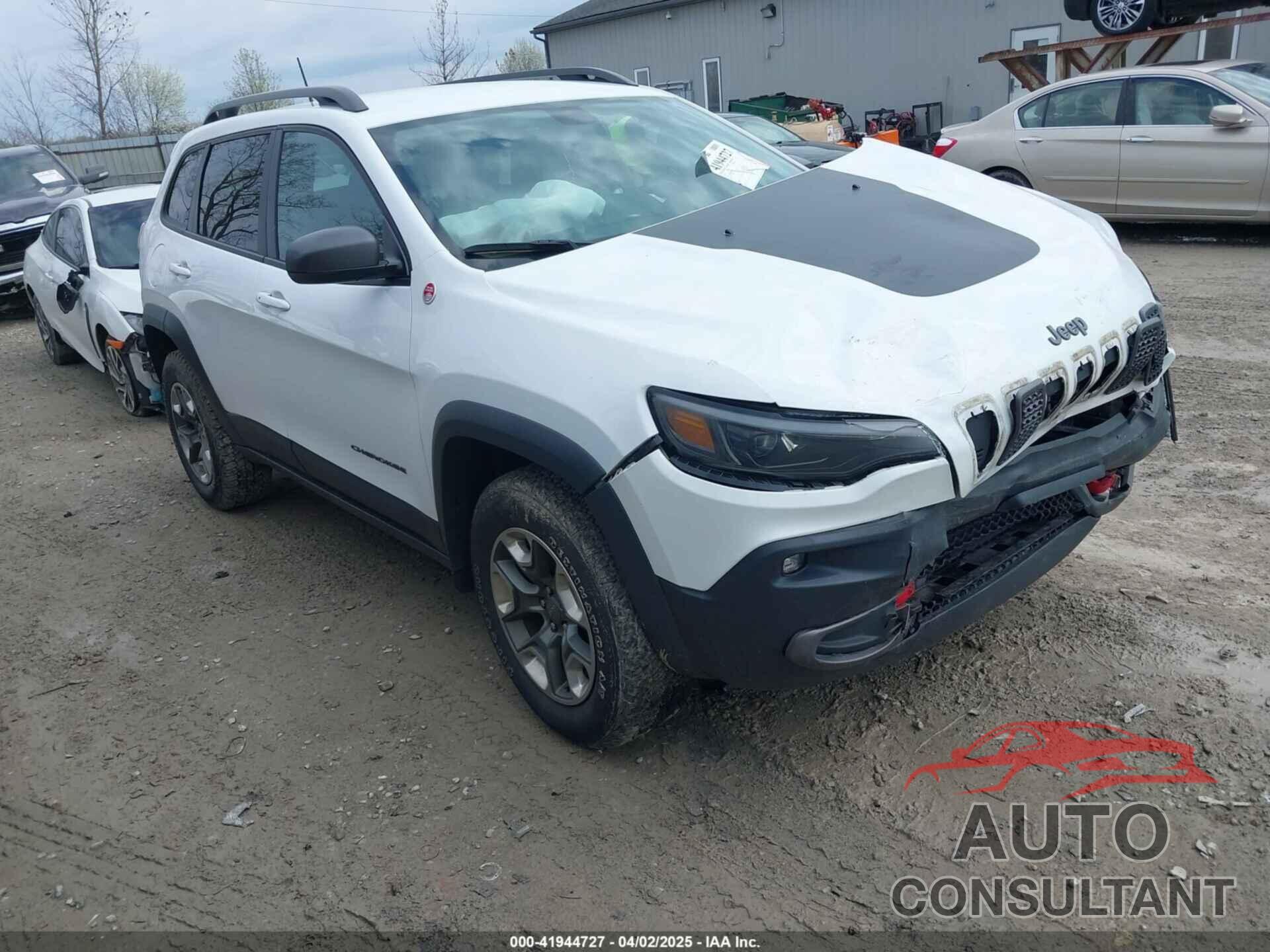 JEEP CHEROKEE 2019 - 1C4PJMBX4KD351261