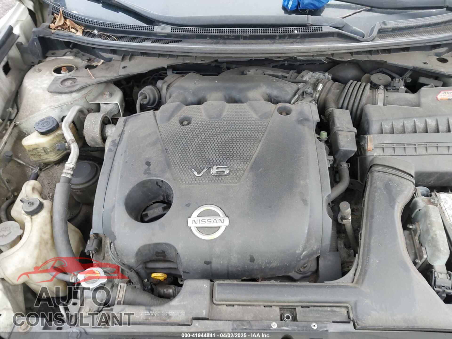 NISSAN MAXIMA 2009 - 1N4AA51E79C855384