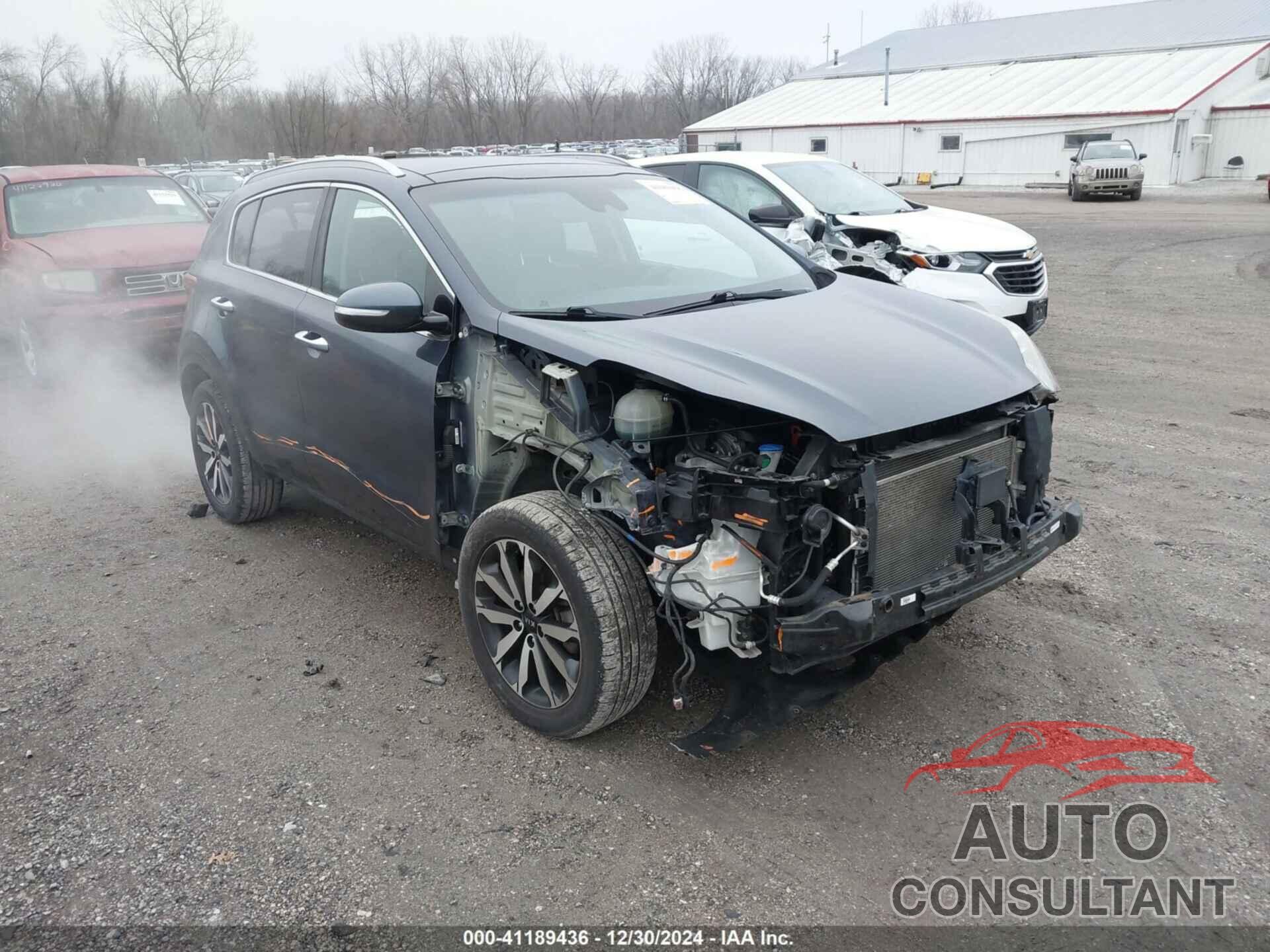 KIA SPORTAGE 2017 - KNDPNCAC0H7272352