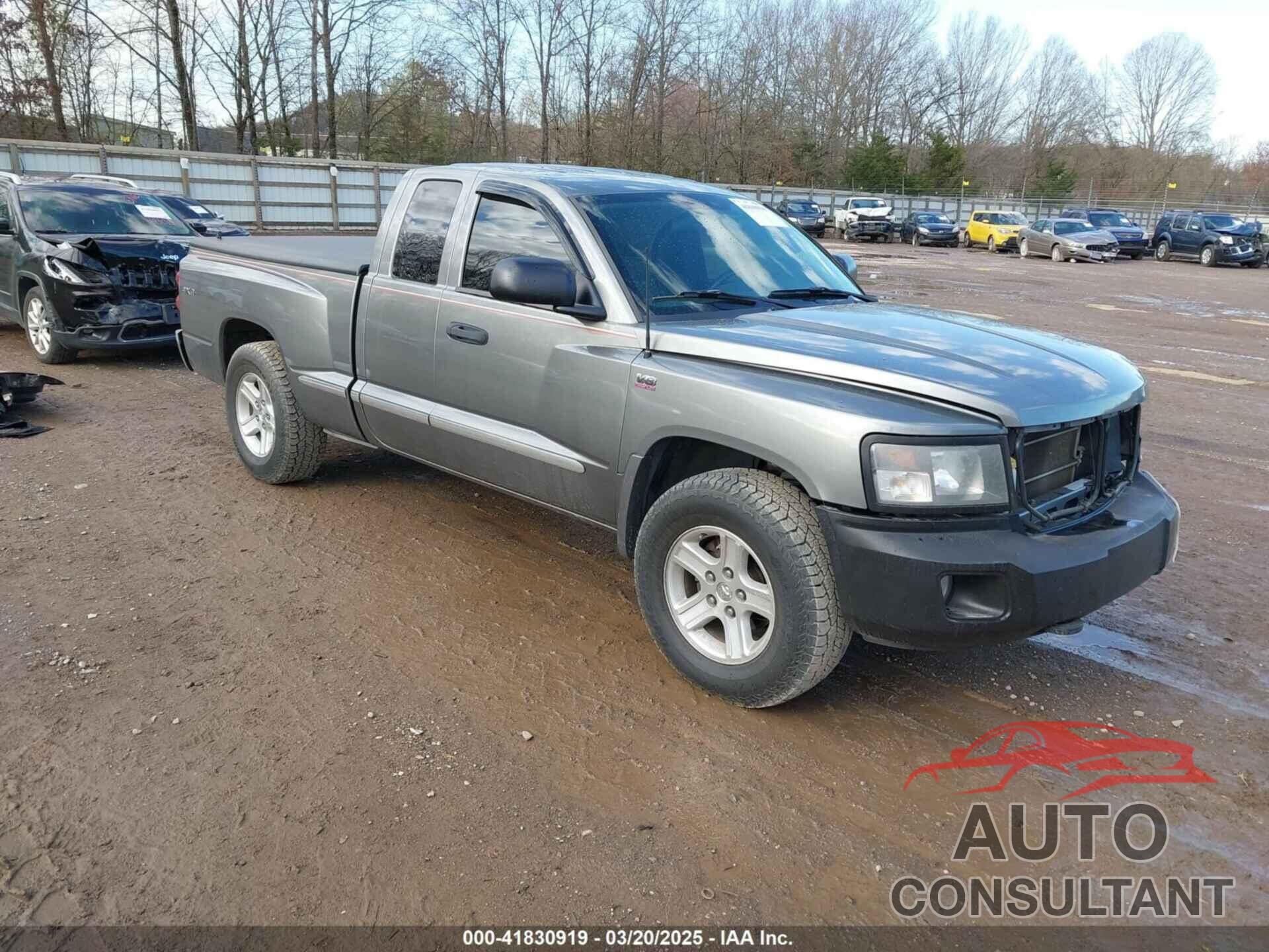 DODGE DAKOTA 2010 - 1D7RW3BP6AS264238