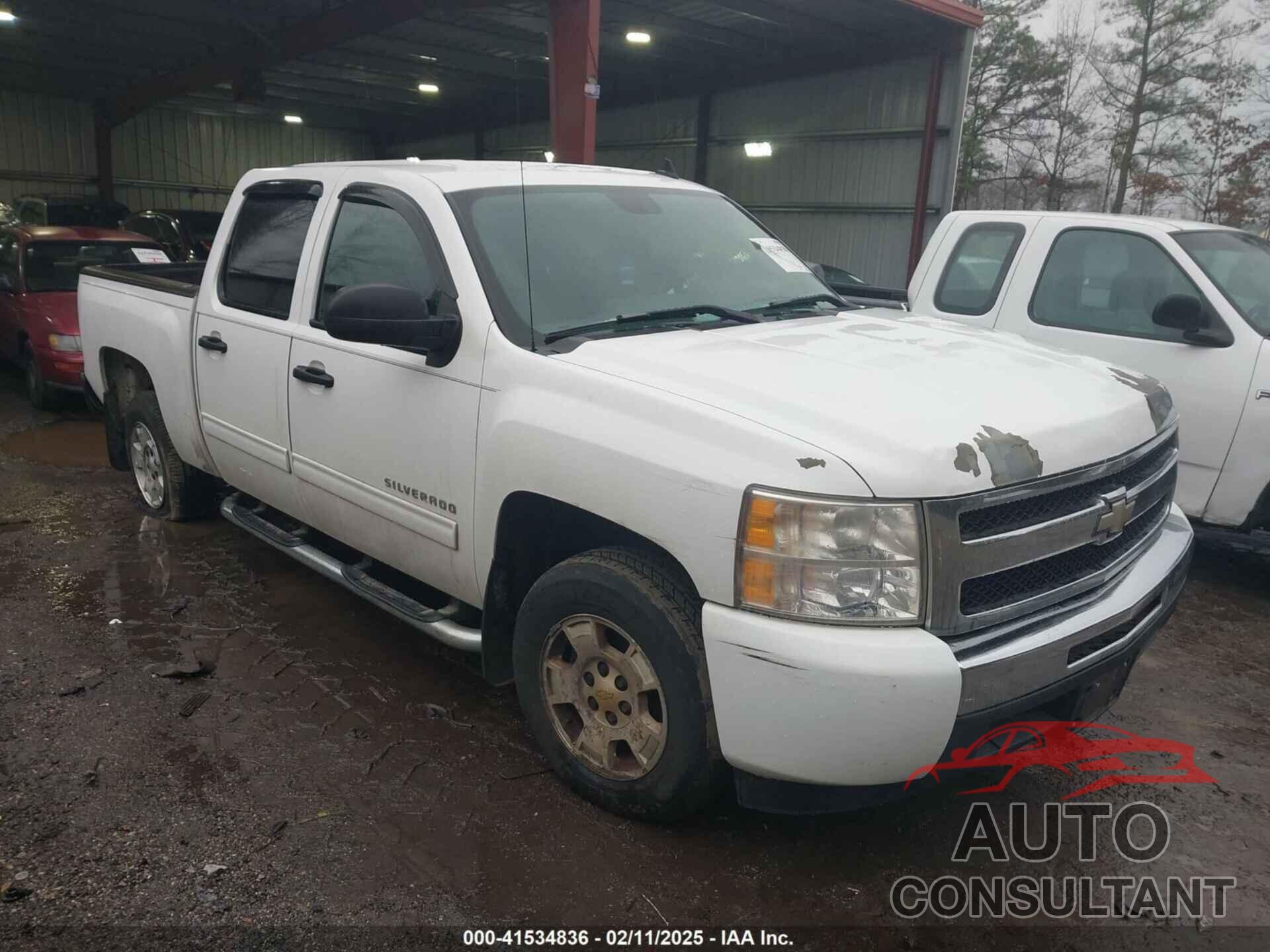 CHEVROLET SILVERADO 1500 2010 - 3GCRCSE03AG136932