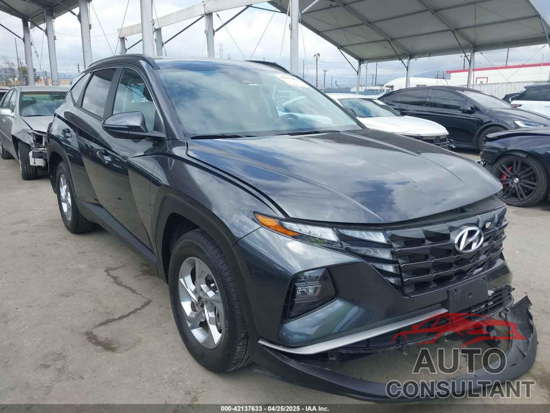 HYUNDAI TUCSON 2023 - 5NMJBCAE2PH289192