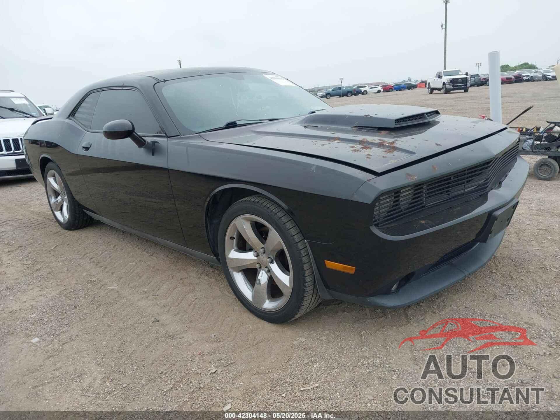 DODGE CHALLENGER 2013 - 2C3CDYBTXDH653559