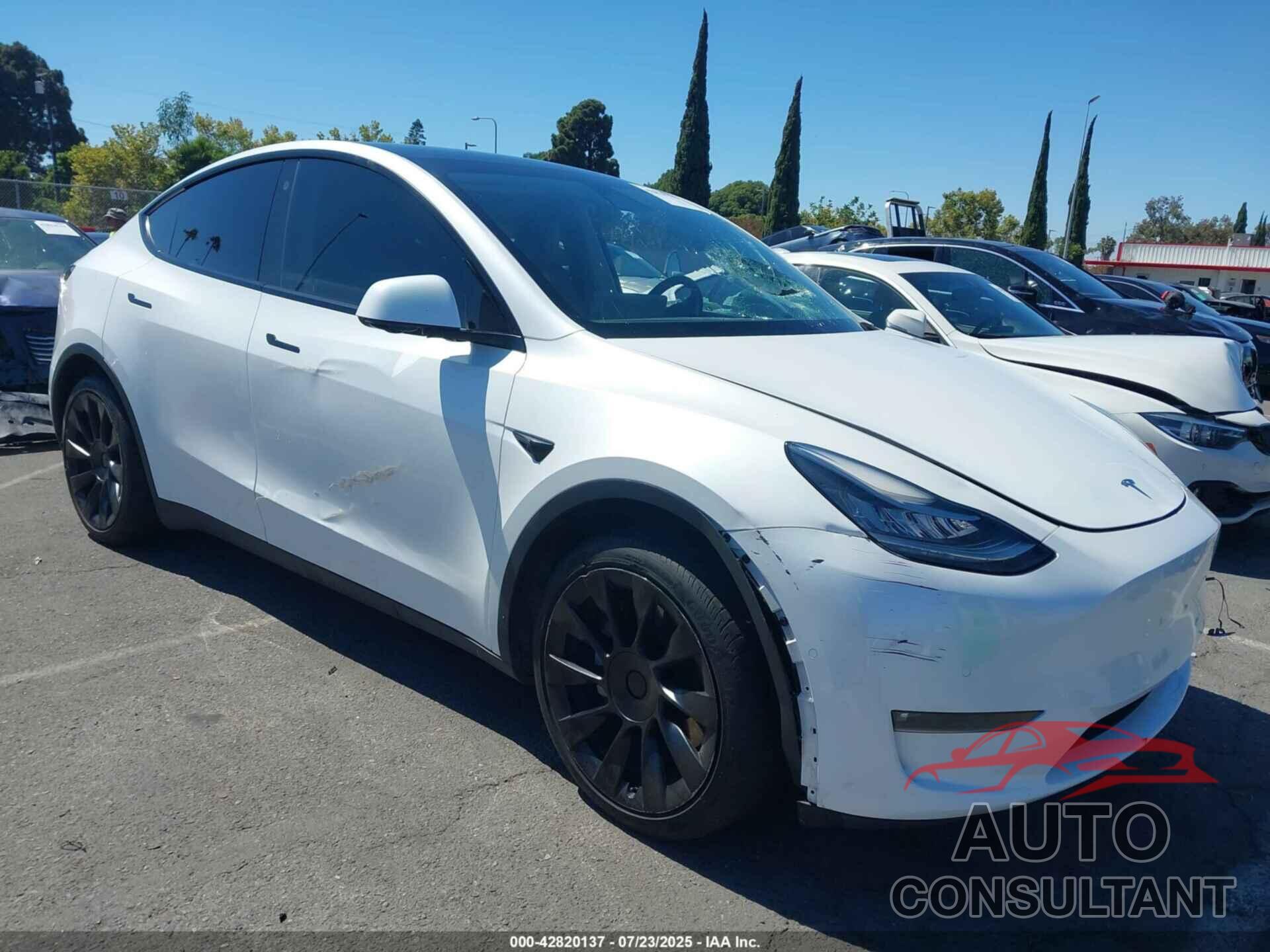TESLA MODEL Y 2021 - 5YJYGDEE6MF279875