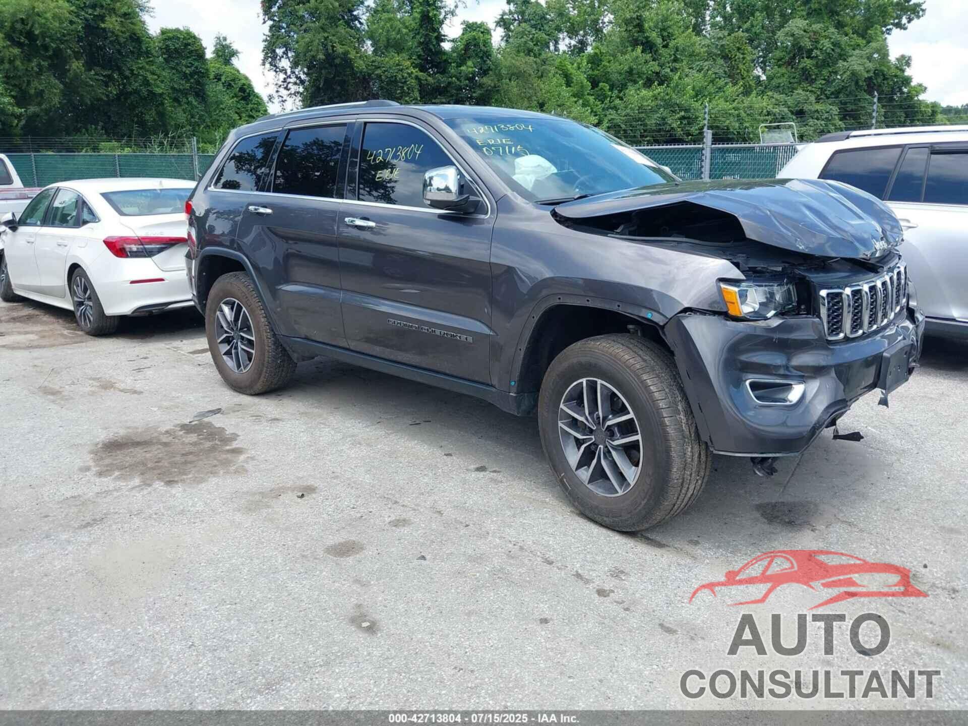 JEEP GRAND CHEROKEE 2019 - 1C4RJFBGXKC642891
