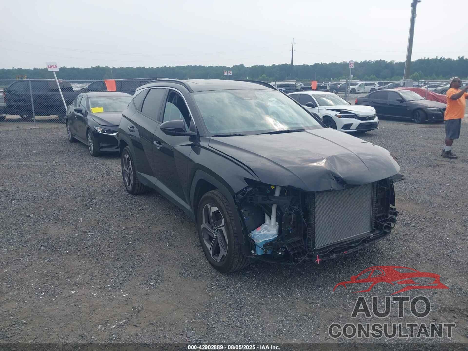 HYUNDAI TUCSON 2024 - 5NMJFCDE6RH385815