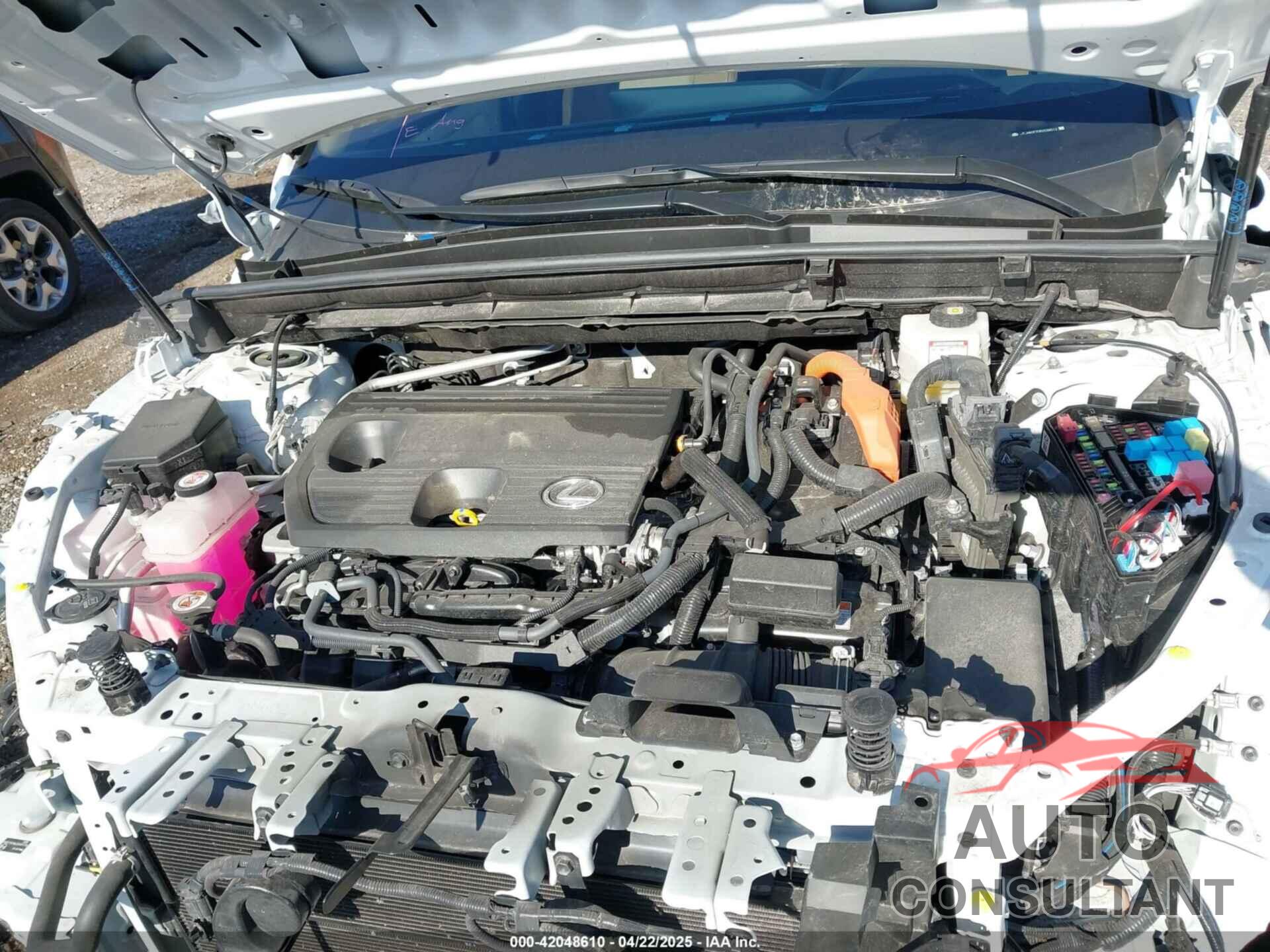 LEXUS NX 350H 2024 - JTJHKCEZ0R2038512