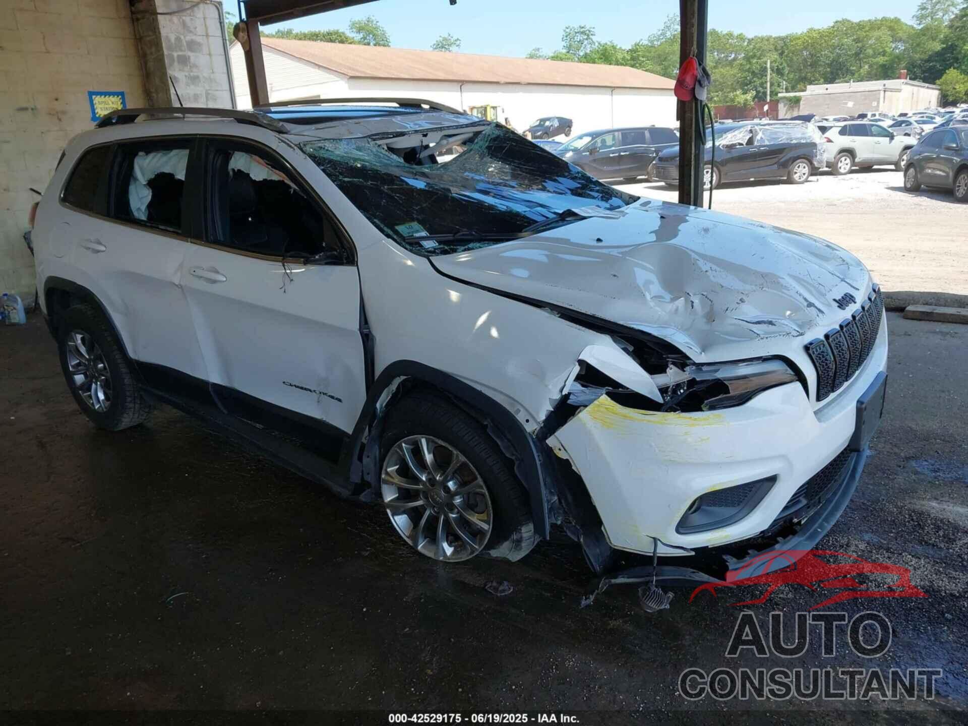 JEEP CHEROKEE 2019 - 1C4PJMLB8KD230574