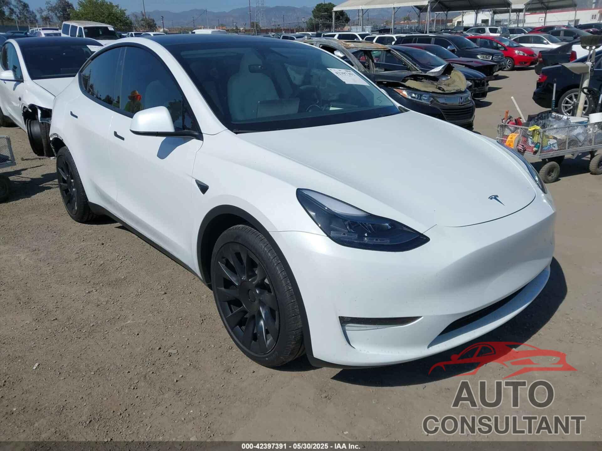TESLA MODEL Y 2024 - 7SAYGAEE1RF165825