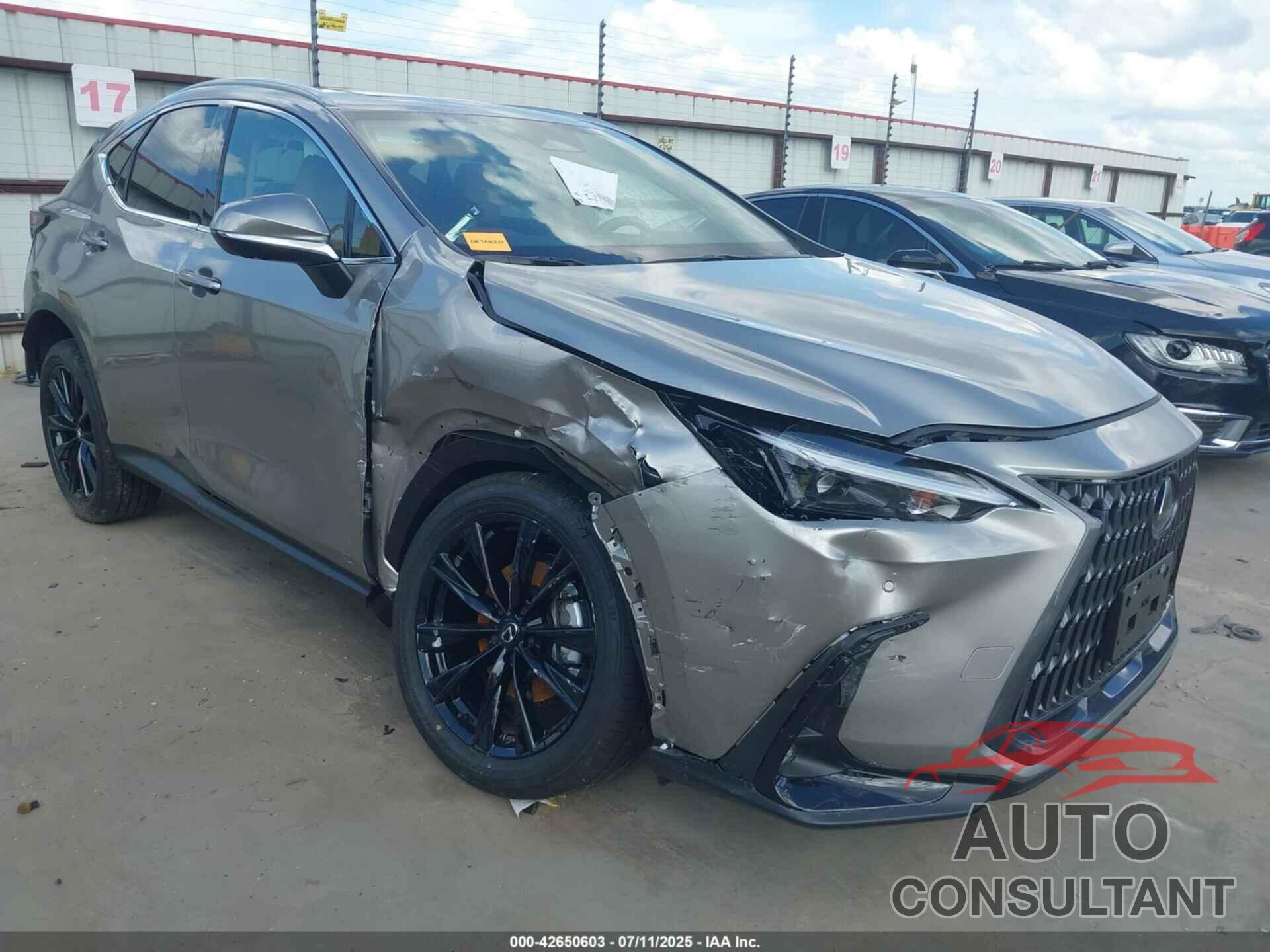 LEXUS NX 350 2025 - 2T2GGCEZ4SC086629