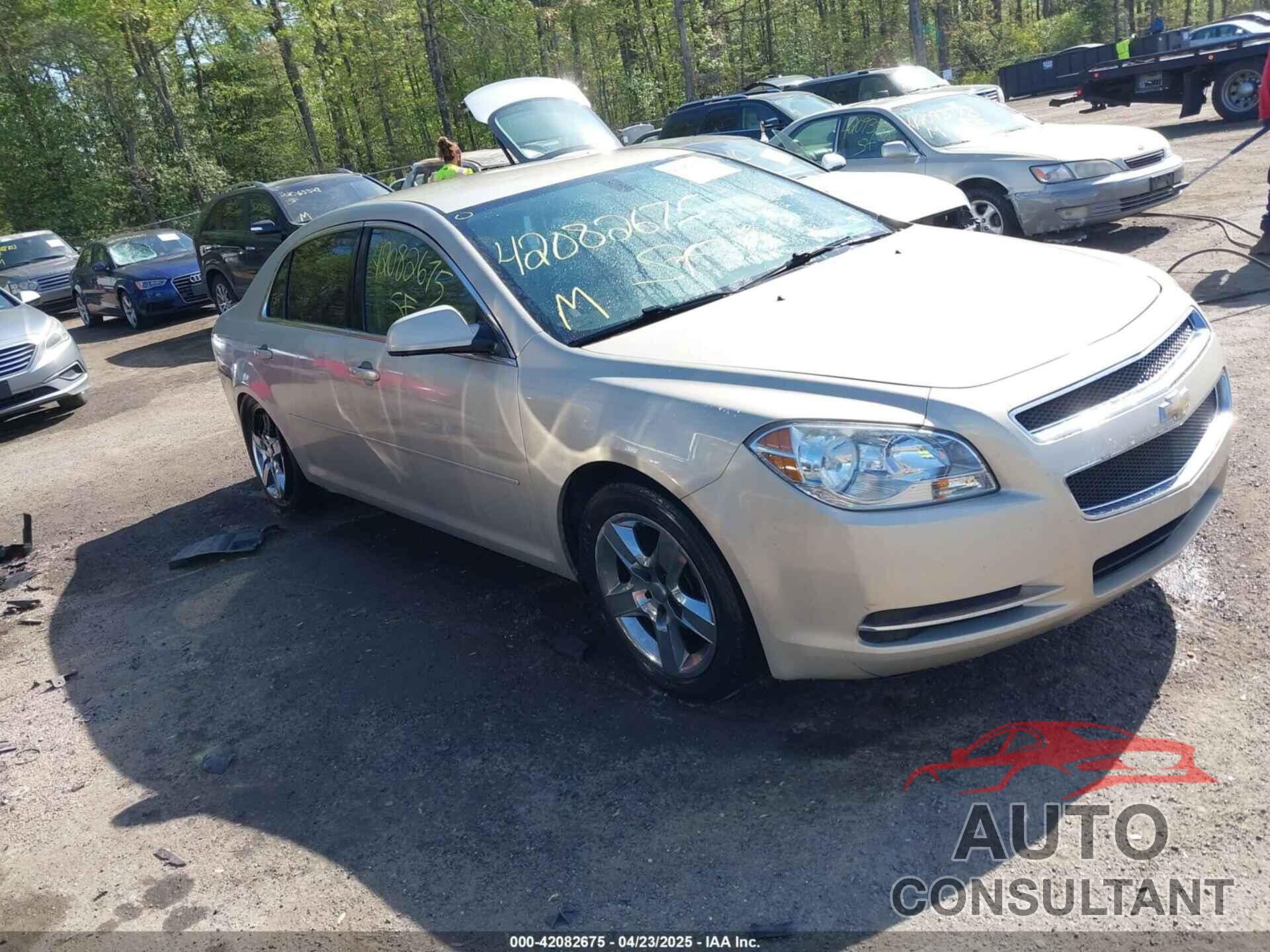 CHEVROLET MALIBU 2010 - 1G1ZC5E05AF189496