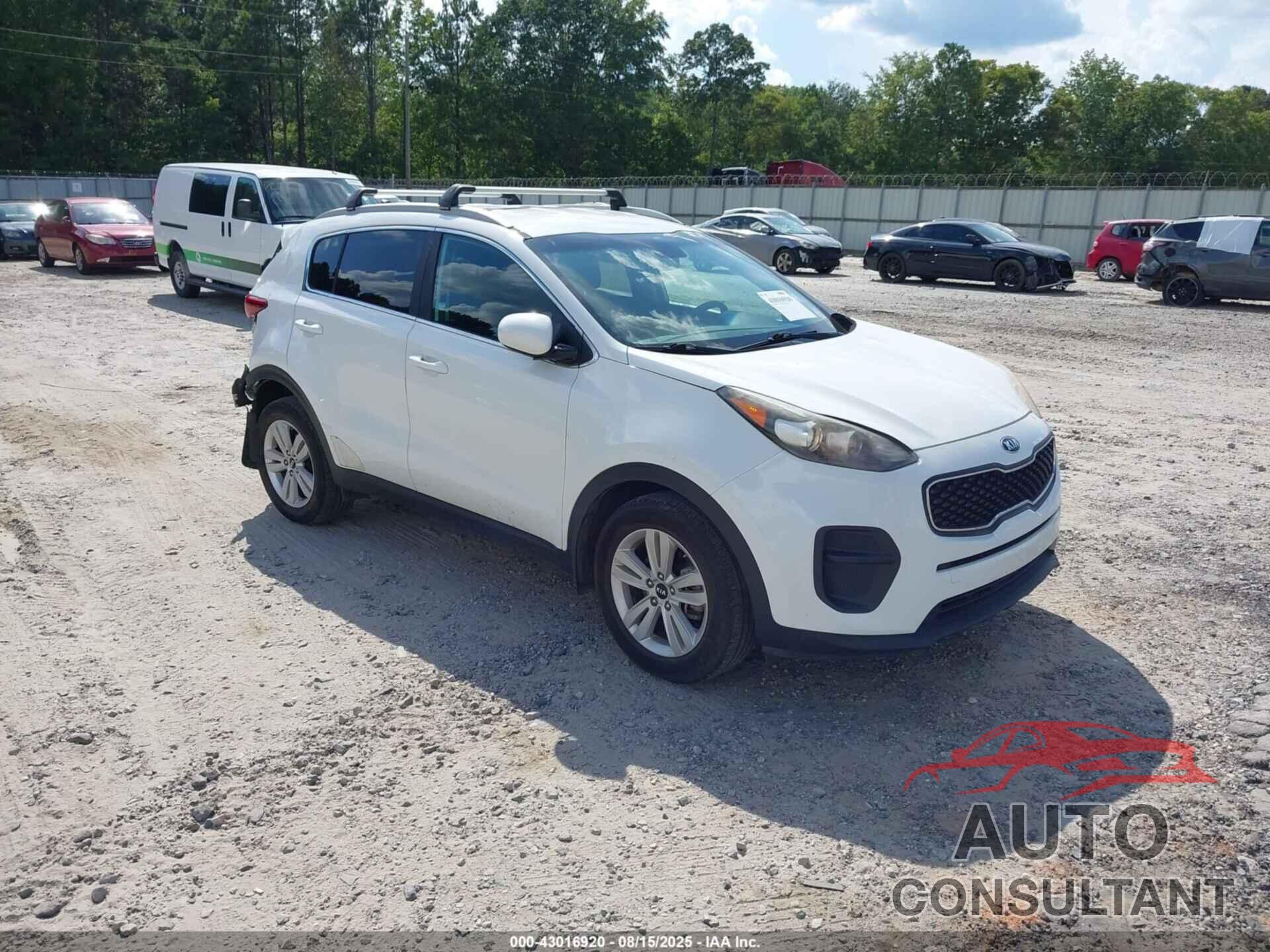 KIA SPORTAGE 2017 - KNDPM3AC8H7102033