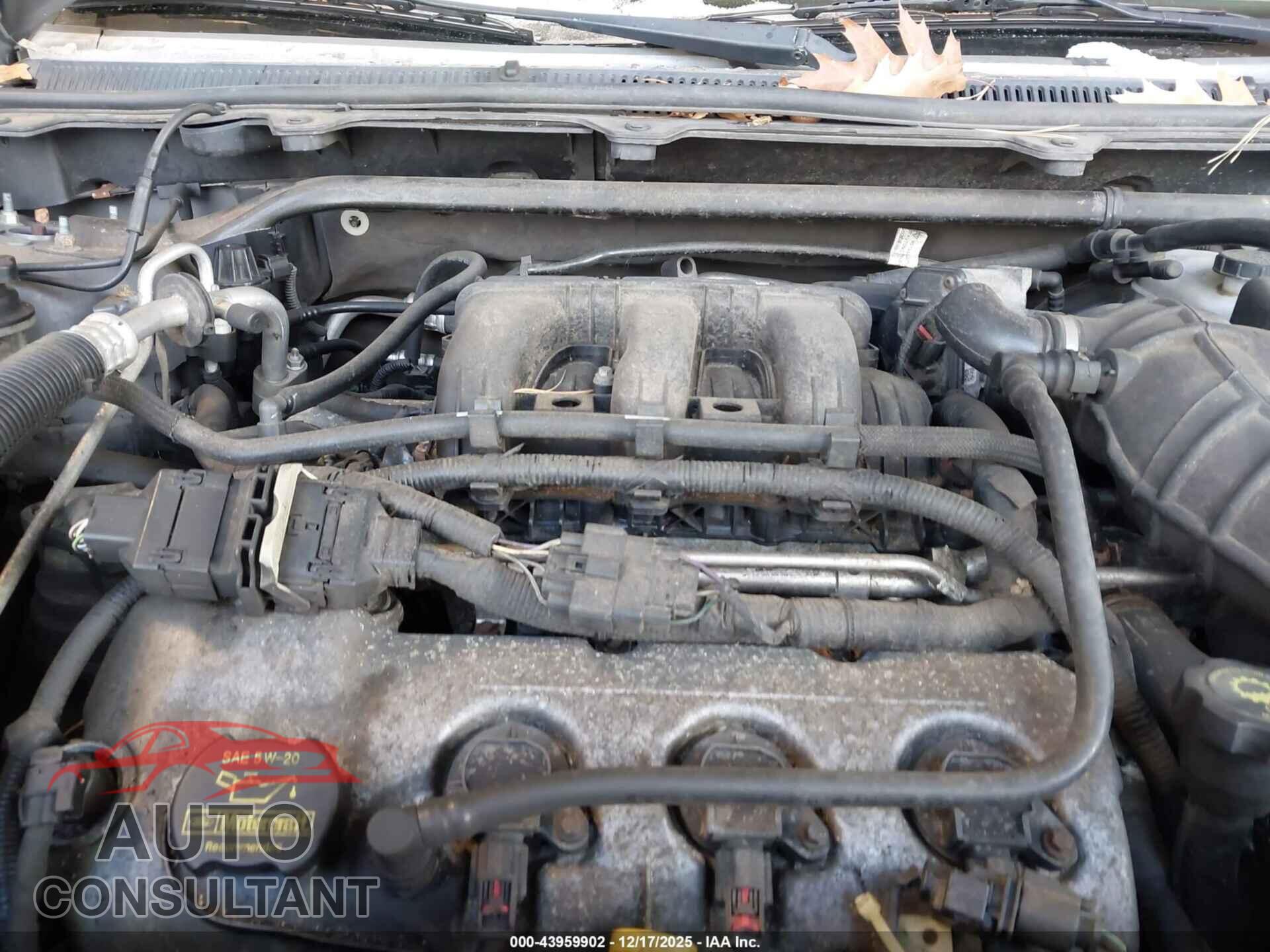 FORD FLEX 2009 - 2FMDK52C29BA08611