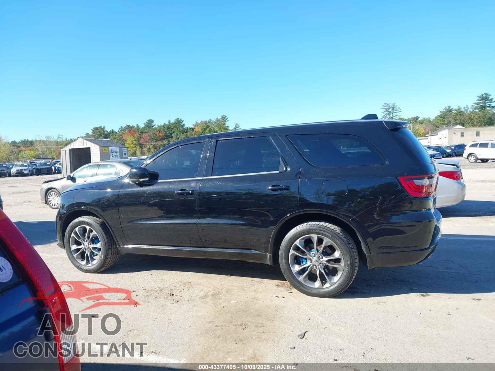 DODGE DURANGO 2019 - 1C4RDJDG6KC780547