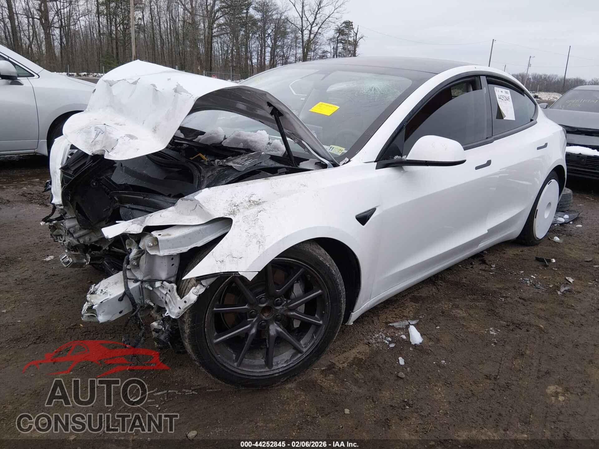 TESLA MODEL 3 2021 - 5YJ3E1EA2MF087848