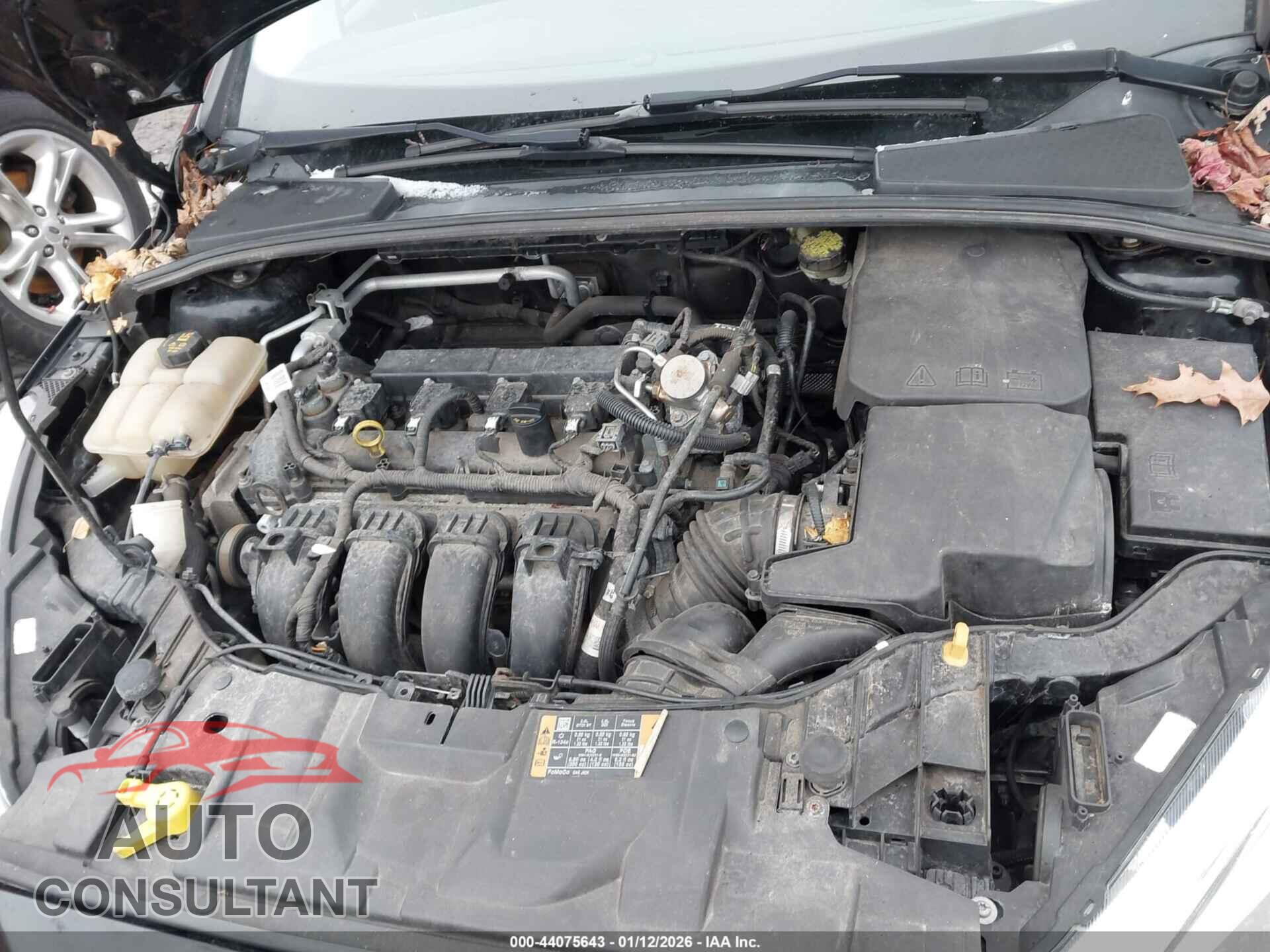 FORD FOCUS 2016 - 1FADP3F23GL375726