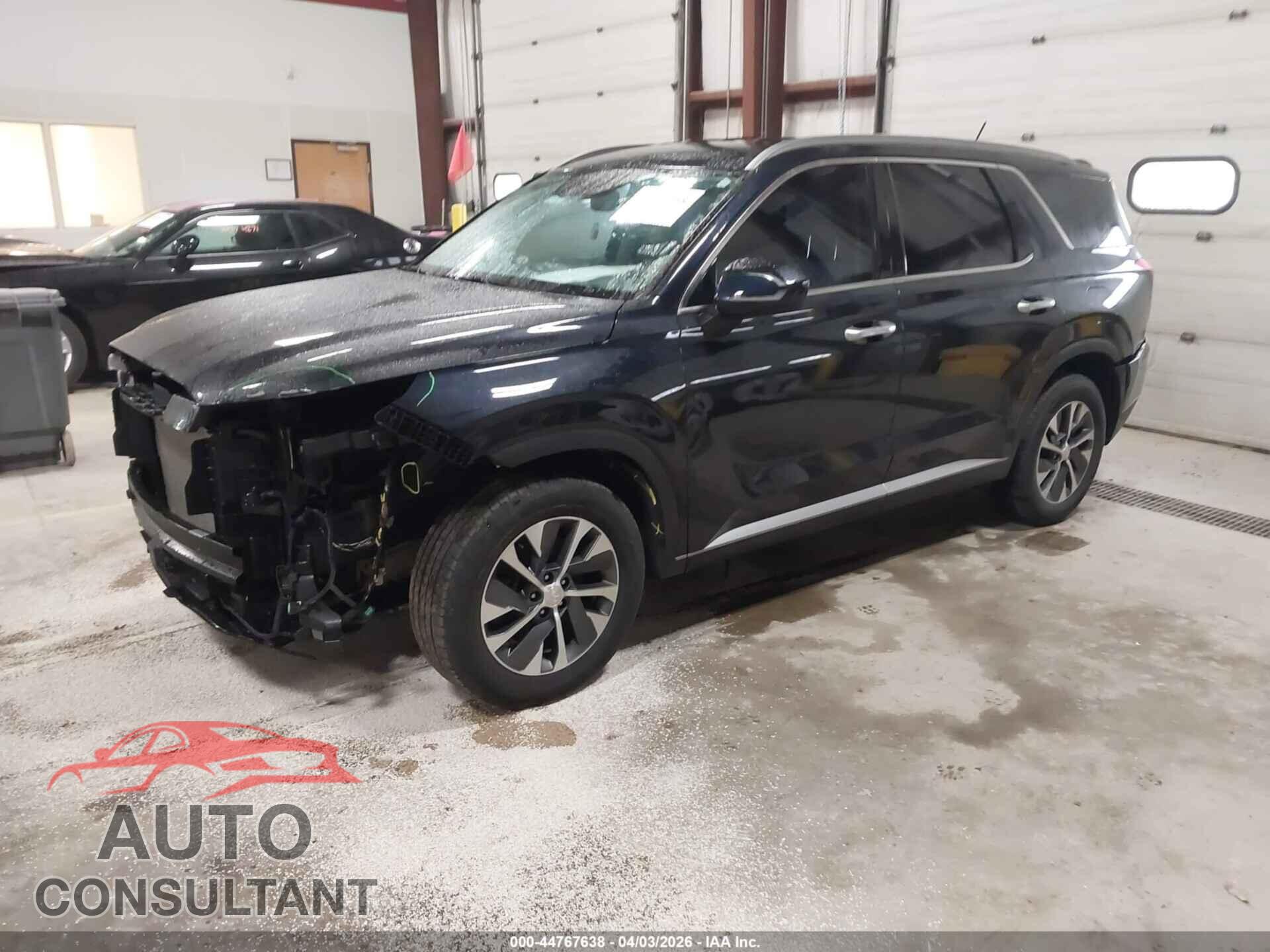 HYUNDAI PALISADE 2020 - KM8R2DHE3LU036346