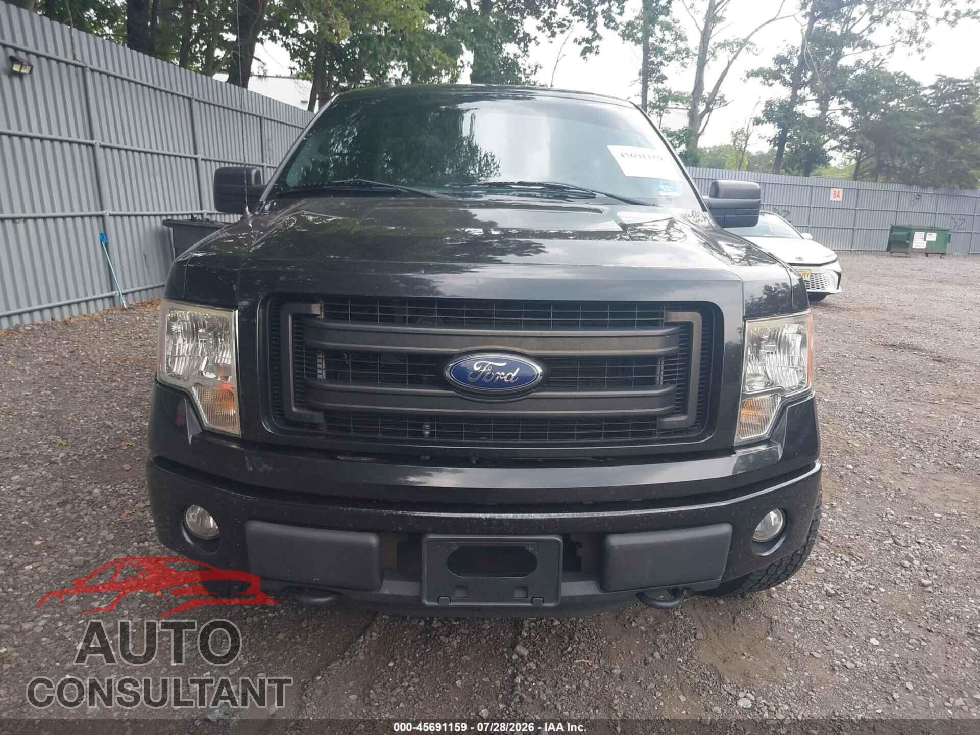 FORD F-150 2013 - 1FTFX1EF4DFD73666