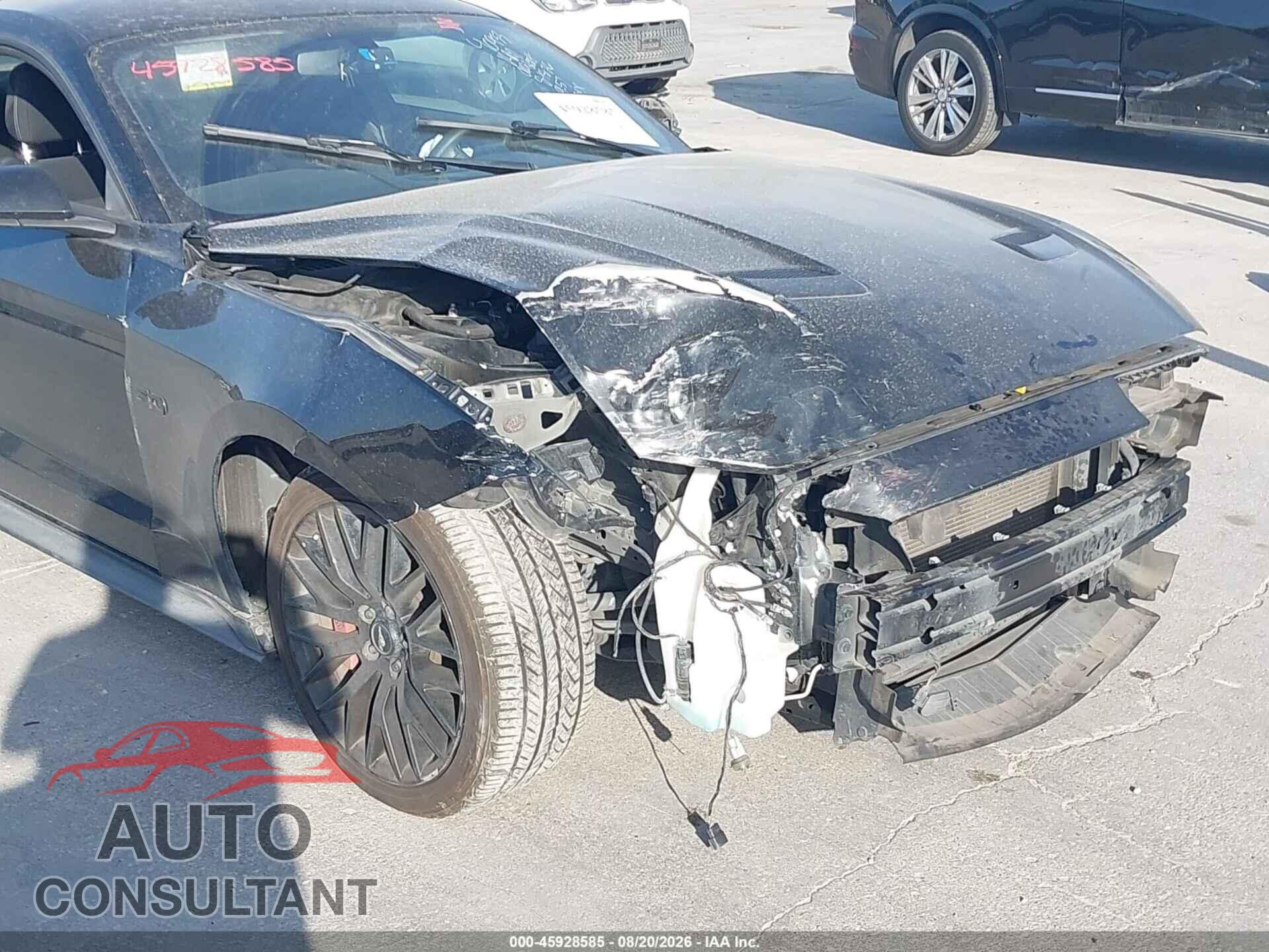 FORD MUSTANG 2019 - 1FA6P8CF0K5168169