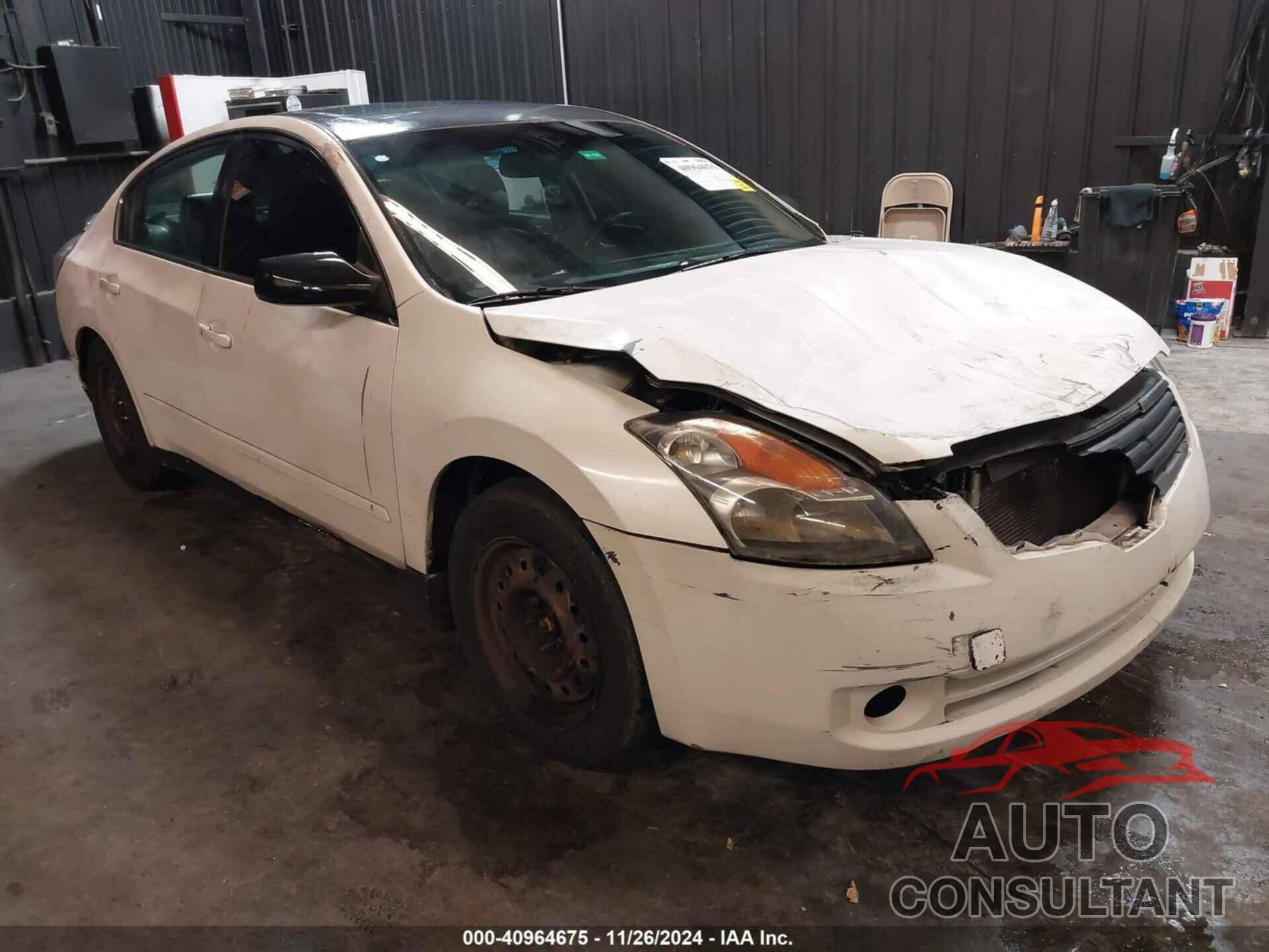 NISSAN ALTIMA 2009 - 1N4AL21E29N516500