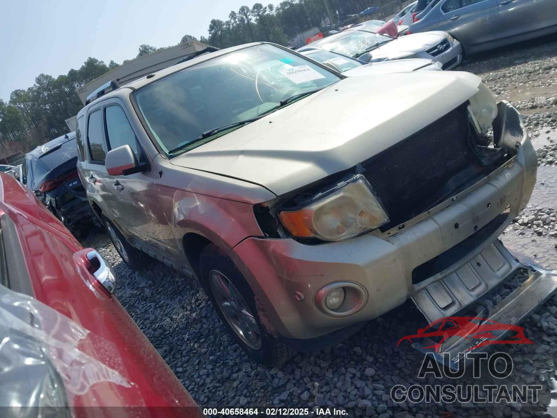 FORD ESCAPE 2011 - 1FMCU9EGXBKB63382