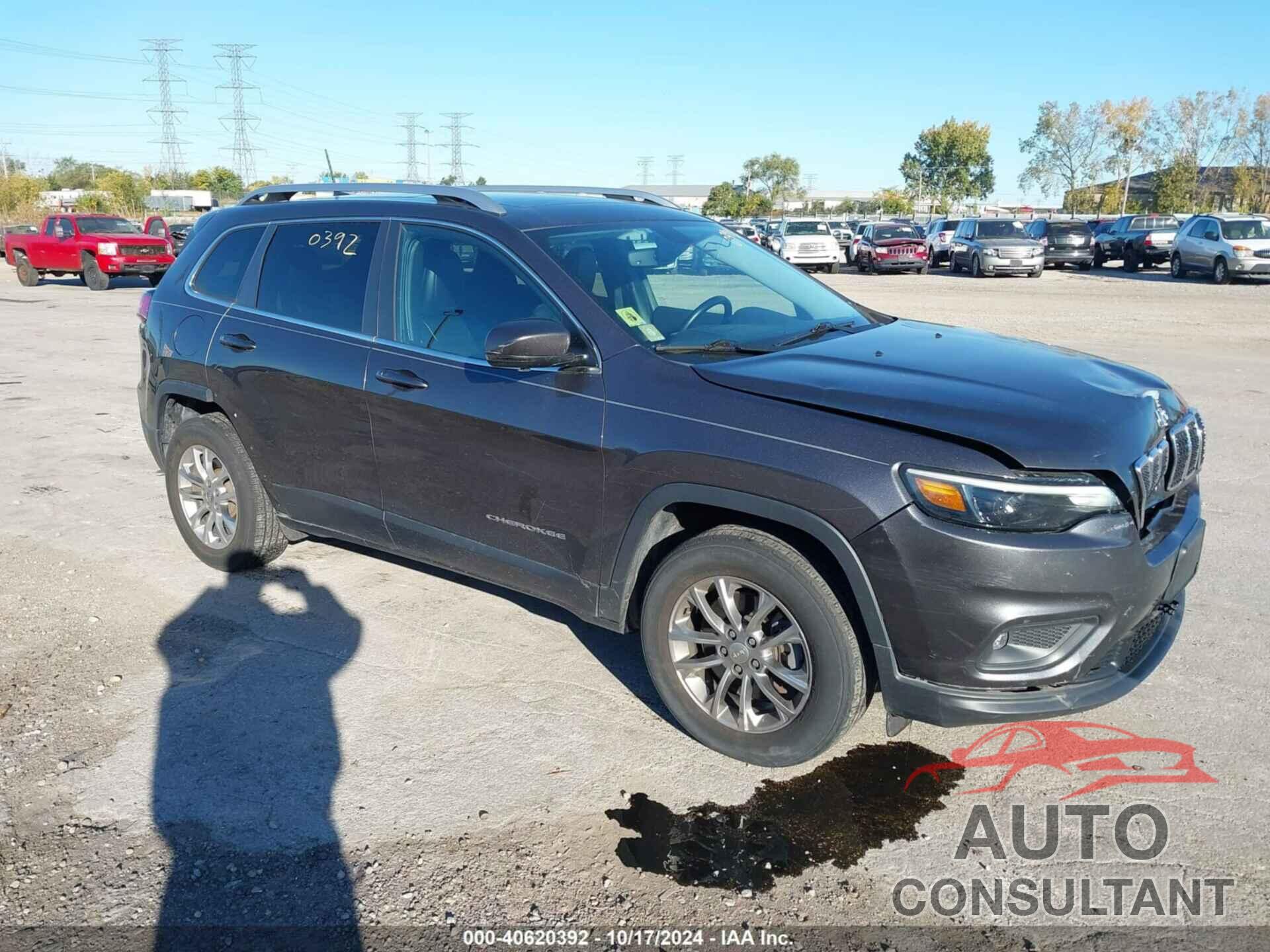 JEEP CHEROKEE 2019 - 1C4PJMLXXKD365552