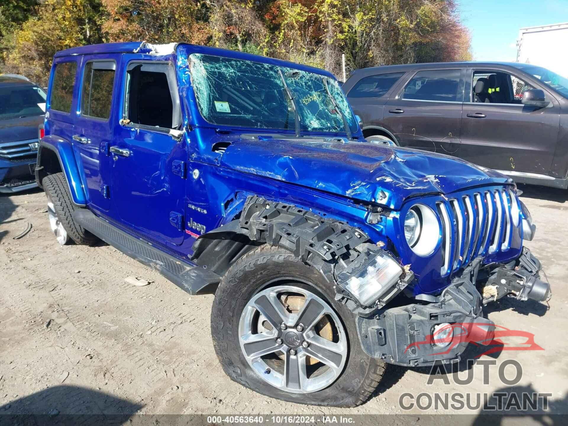 JEEP WRANGLER UNLIMITED 2020 - 1C4HJXEGXLW182693