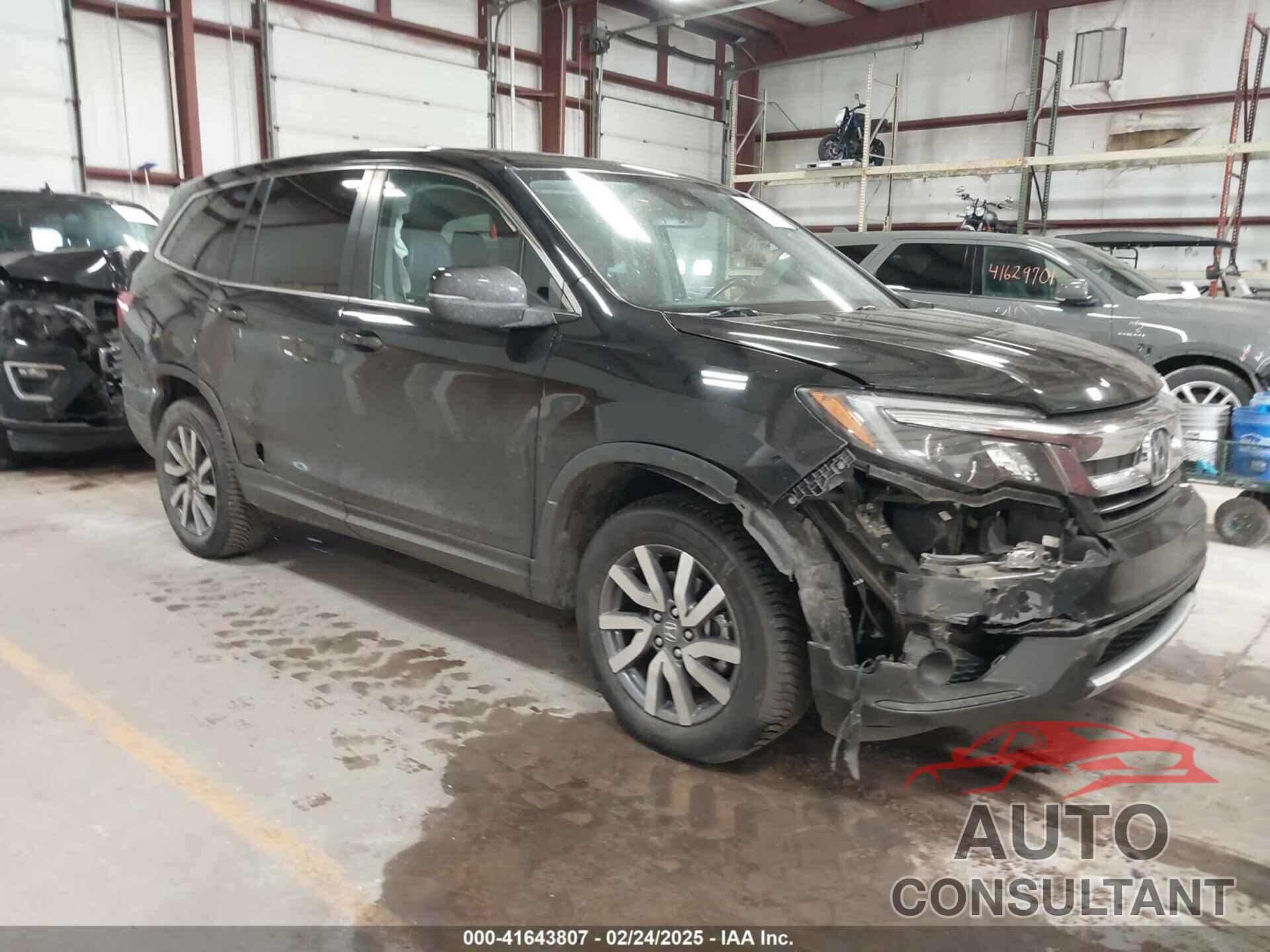 HONDA PILOT 2019 - 5FNYF6H5XKB067858