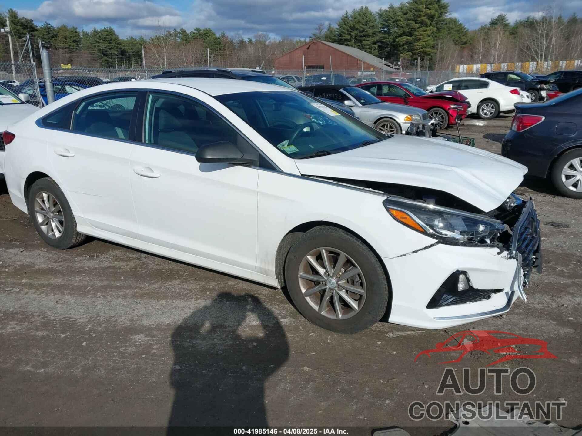 HYUNDAI SONATA 2019 - 5NPE24AFXKH749128