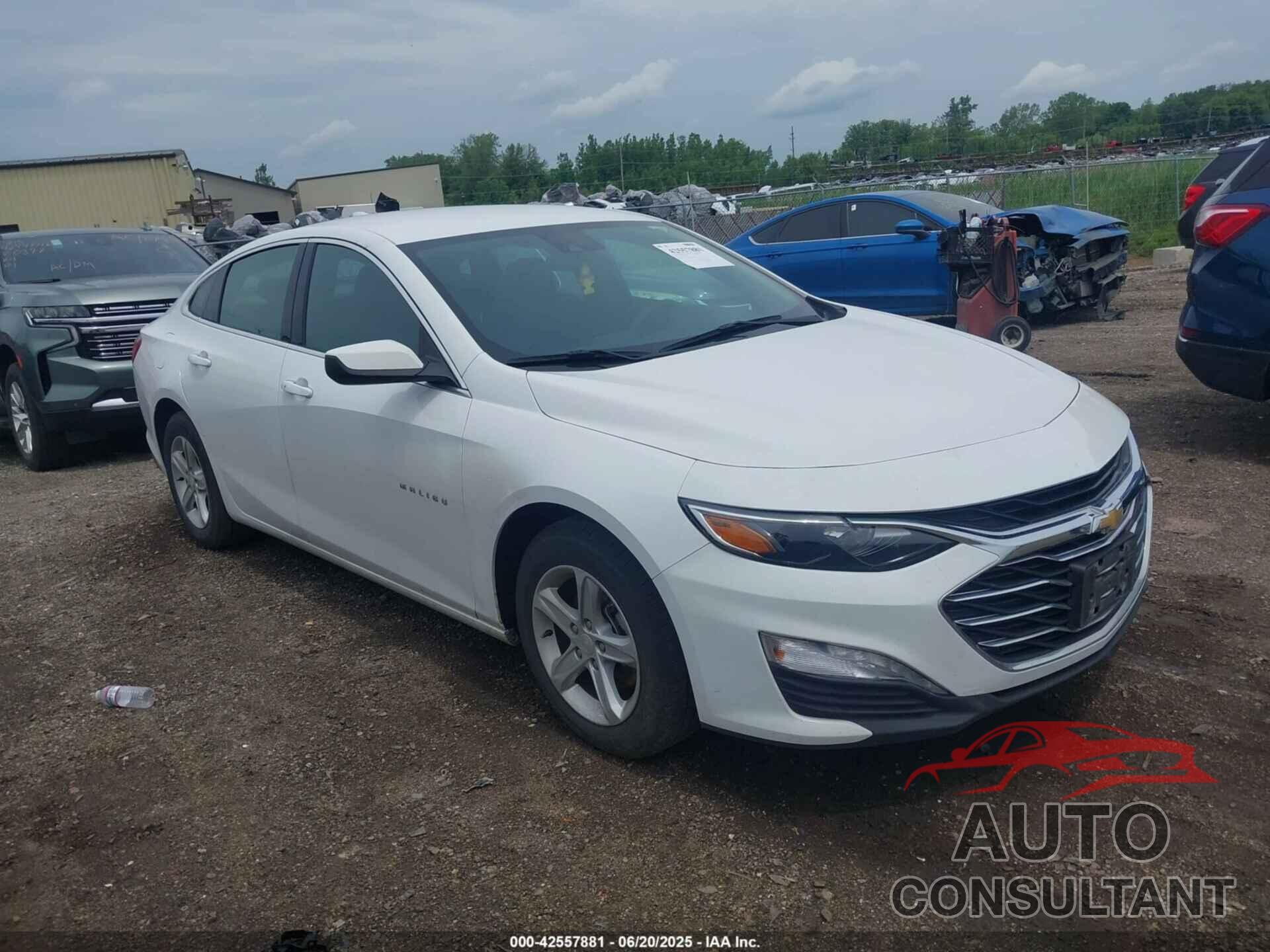 CHEVROLET MALIBU 2023 - 1G1ZD5ST1PF169475