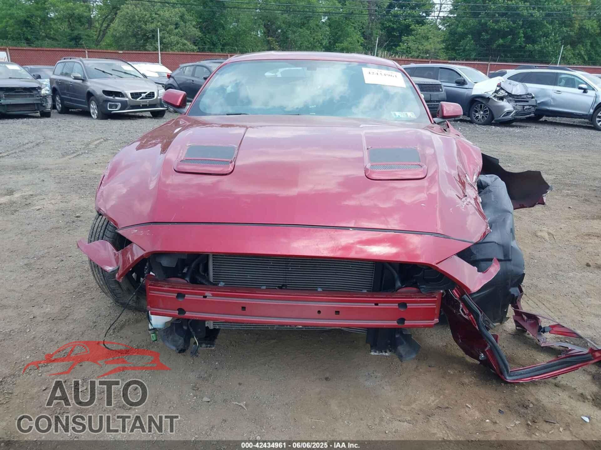FORD MUSTANG 2019 - 1FA6P8CF1K5165958
