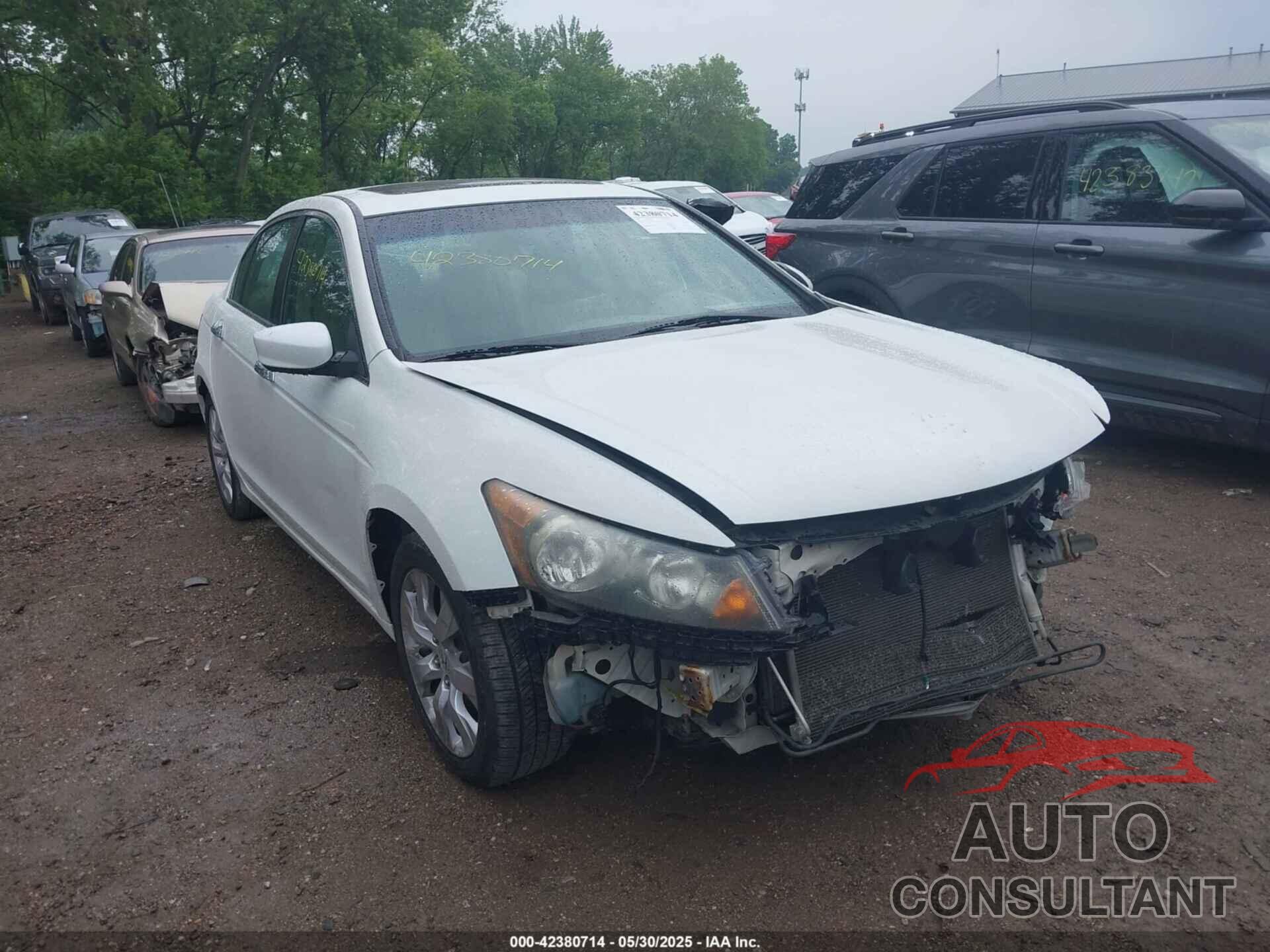 HONDA ACCORD 2009 - 1HGCP36829A012912