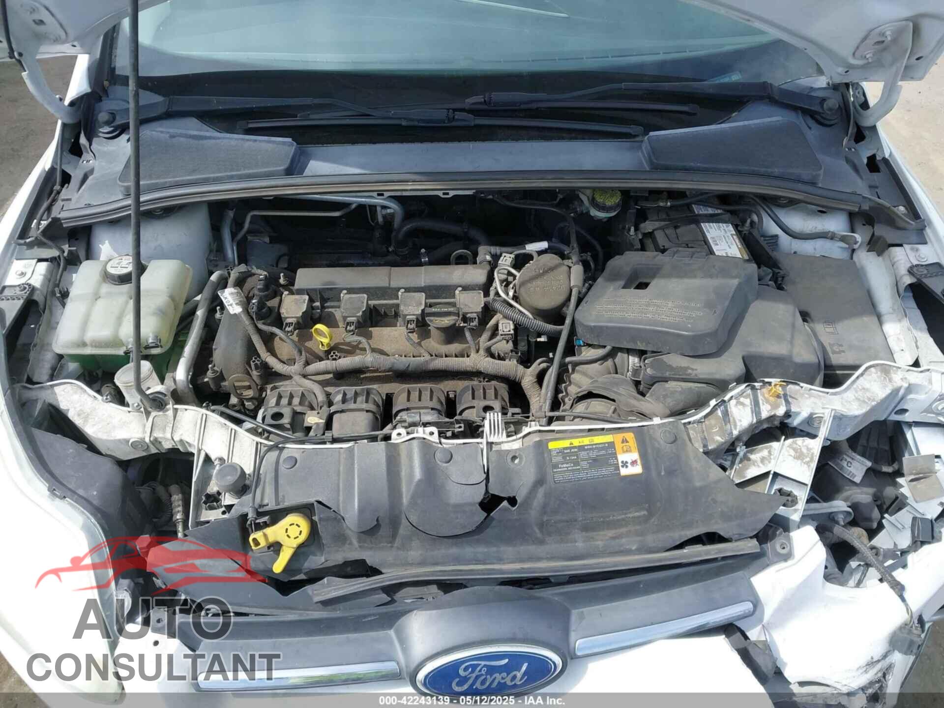 FORD FOCUS 2012 - 1FAHP3F2XCL121264