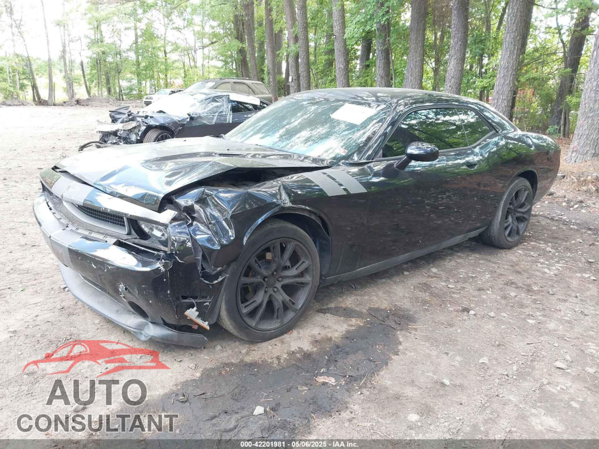 DODGE CHALLENGER 2013 - 2C3CDYAG2DH632743