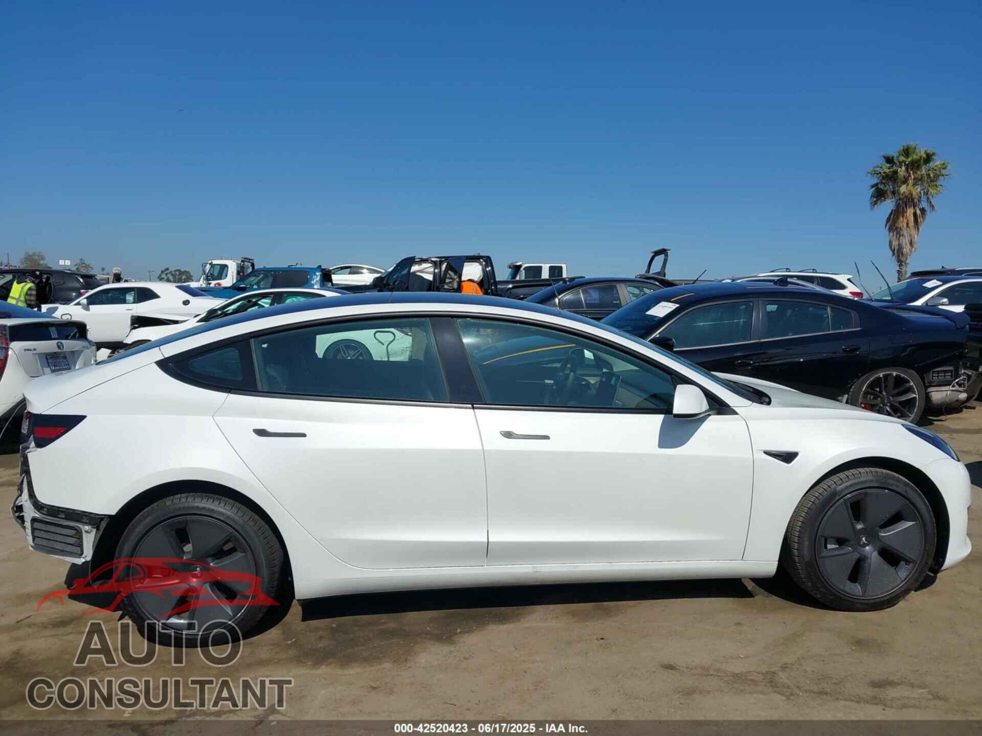 TESLA MODEL 3 2023 - 5YJ3E1EA5PF401237