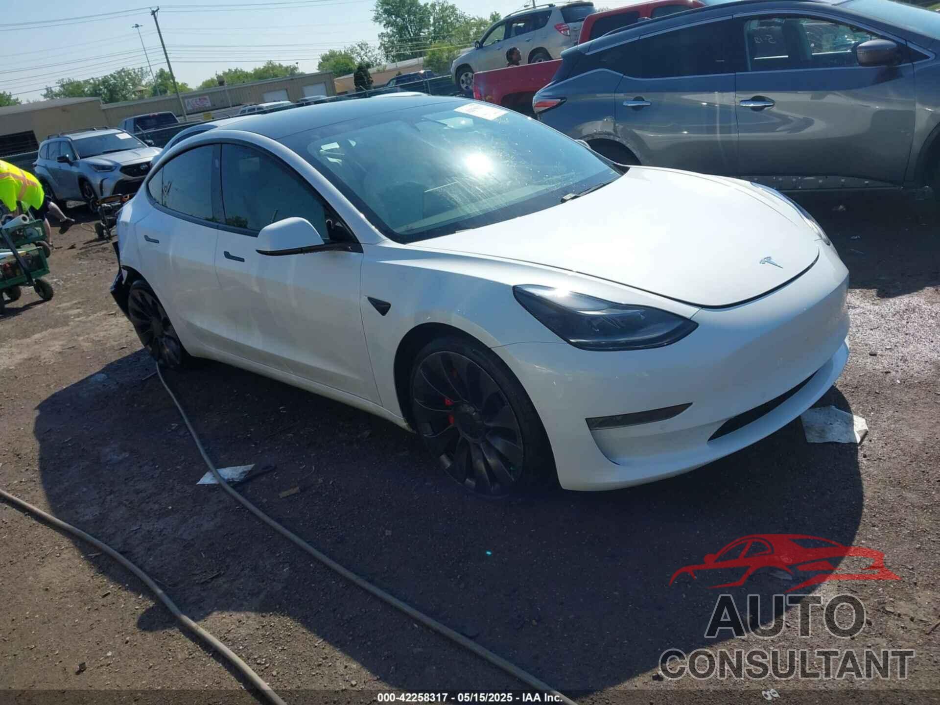 TESLA MODEL 3 2021 - 5YJ3E1EC7MF919282