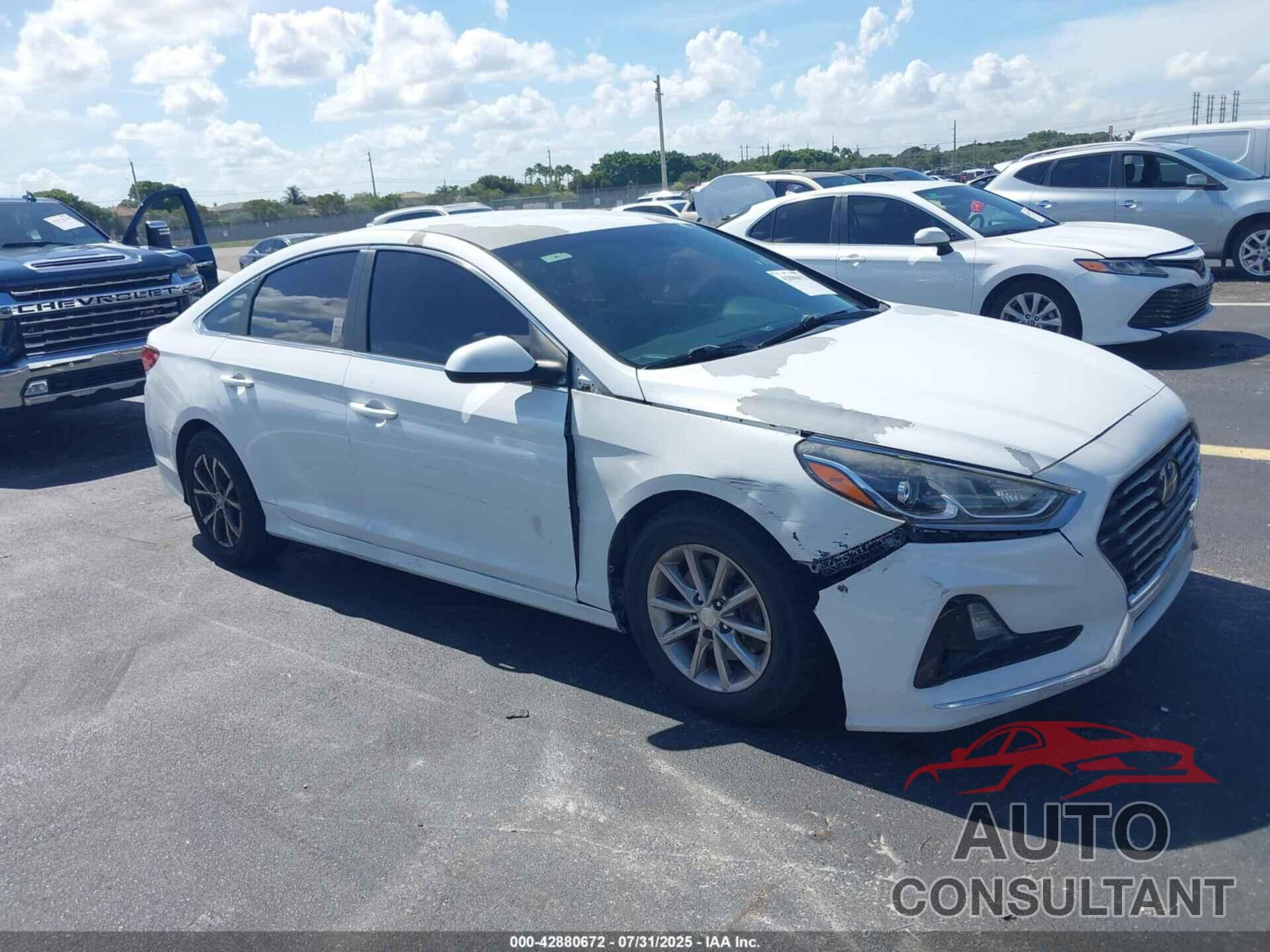 HYUNDAI SONATA 2019 - 5NPE24AF5KH738571