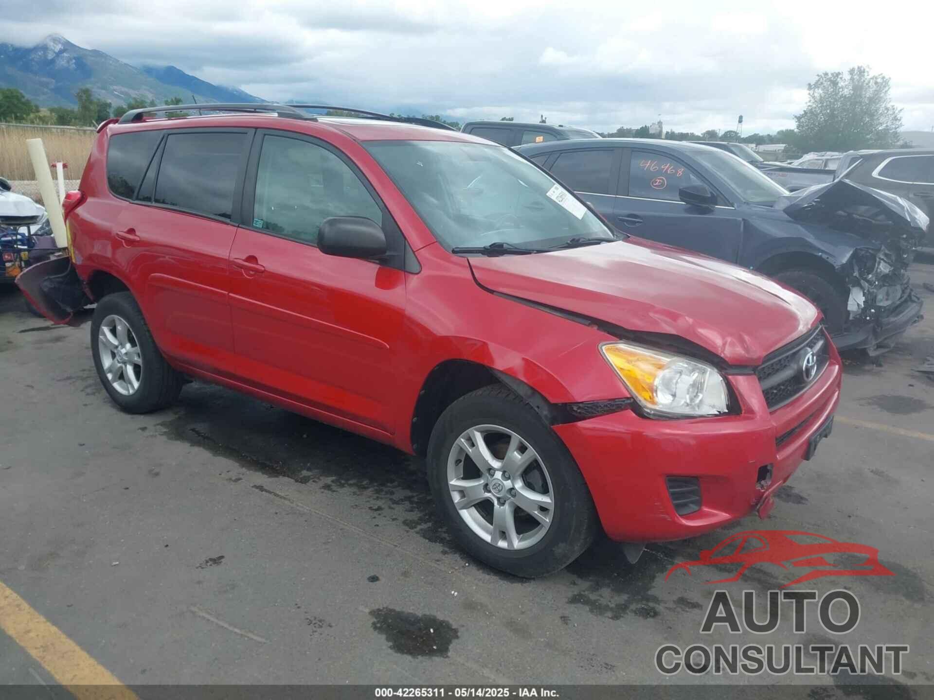 TOYOTA RAV4 2011 - 2T3BF4DV0BW115961