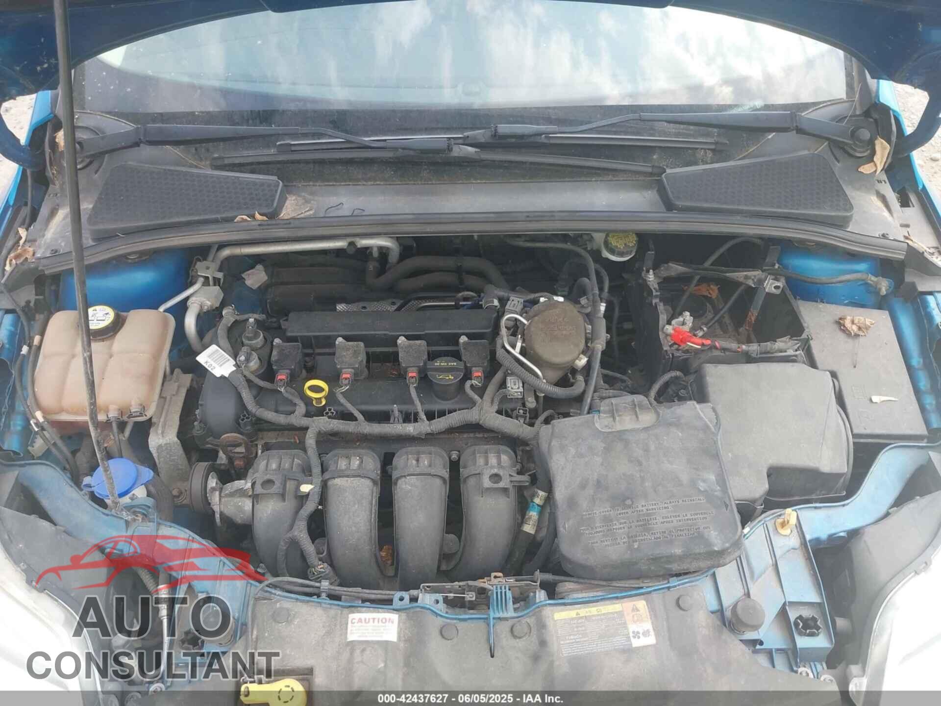 FORD FOCUS 2014 - 1FADP3K25EL195473